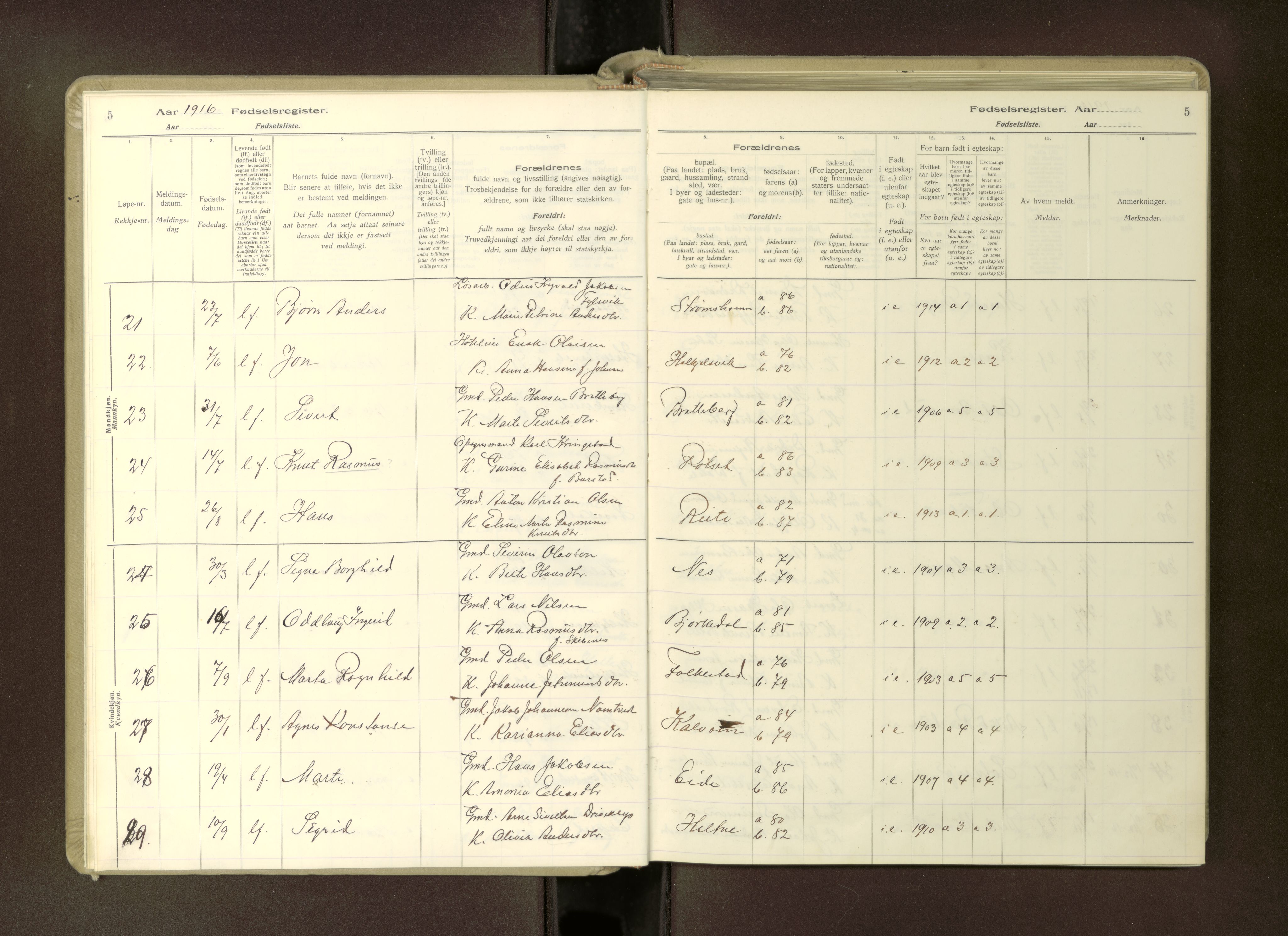 Ministerialprotokoller, klokkerbøker og fødselsregistre - Møre og Romsdal, AV/SAT-A-1454/511/L0165: Birth register no. 511---, 1916-1937, p. 5