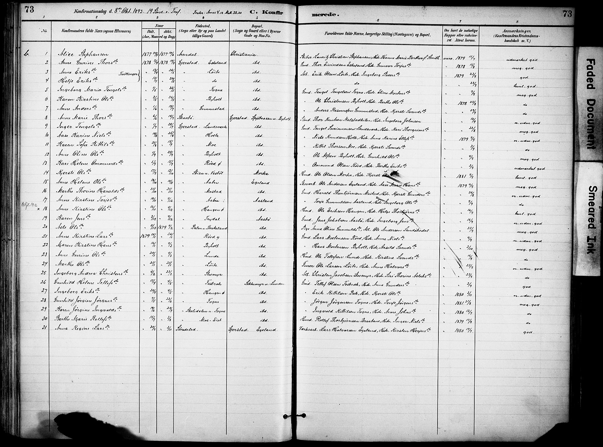 Gjerstad sokneprestkontor, AV/SAK-1111-0014/F/Fa/Faa/L0010: Parish register (official) no. A 10, 1891-1902, p. 73