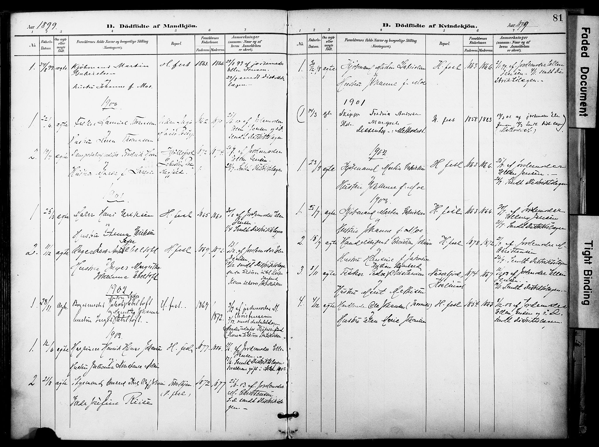 Hammerfest sokneprestkontor, SATØ/S-1347/H/Ha/L0010.kirke: Parish register (official) no. 10, 1898-1905, p. 81