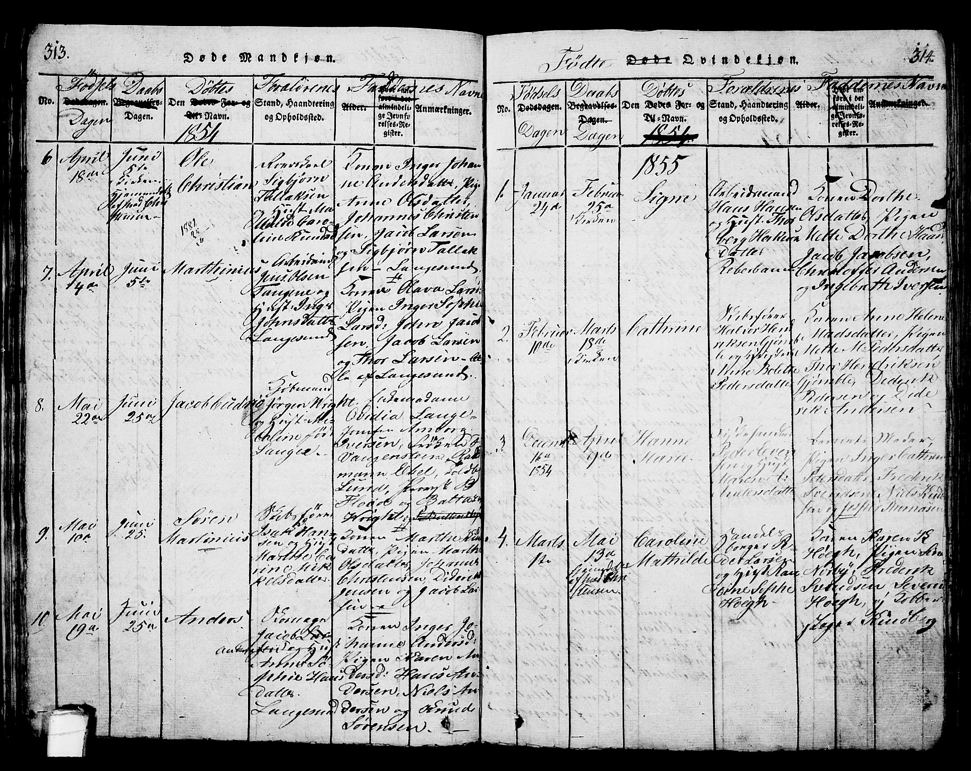 Langesund kirkebøker, SAKO/A-280/G/Ga/L0003: Parish register (copy) no. 3, 1815-1858, p. 313-314