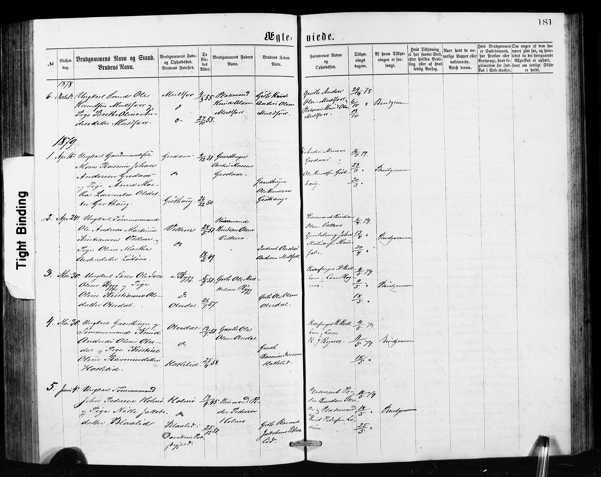 Hornindal sokneprestembete, SAB/A-82401/H/Hab: Parish register (copy) no. A 1, 1876-1894, p. 181