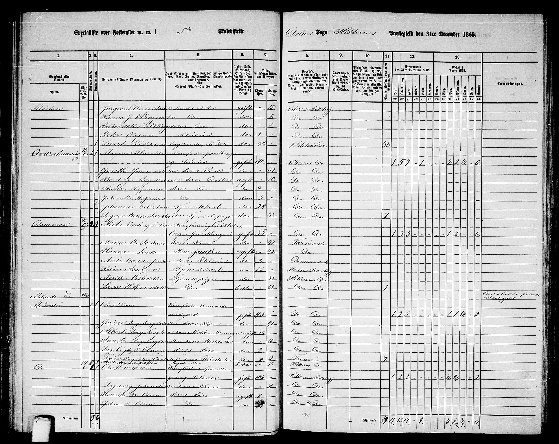 RA, 1865 census for Hitra, 1865, p. 110