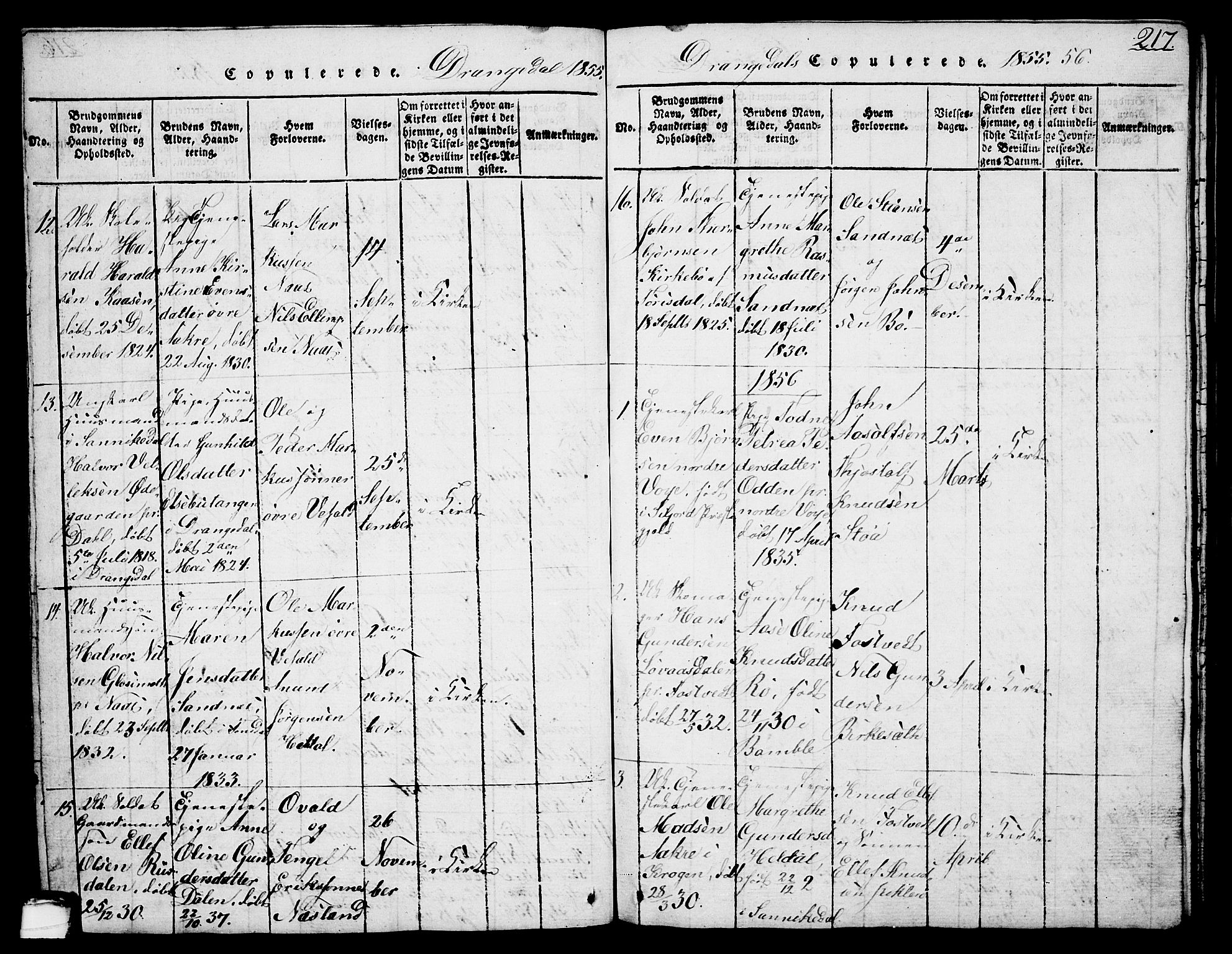 Drangedal kirkebøker, AV/SAKO-A-258/G/Ga/L0001: Parish register (copy) no. I 1 /1, 1814-1856, p. 217