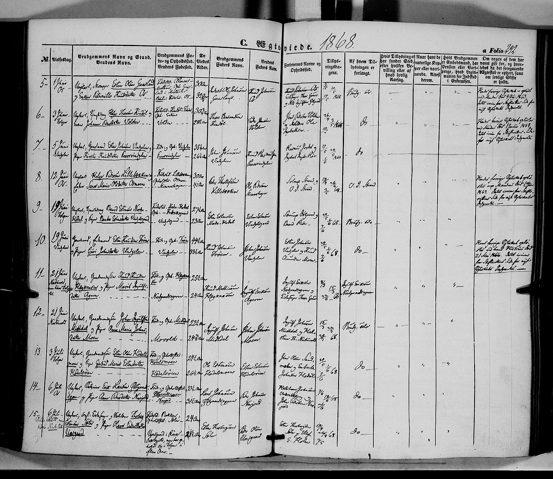 Tolga prestekontor, AV/SAH-PREST-062/K/L0006: Parish register (official) no. 6, 1852-1876, p. 242