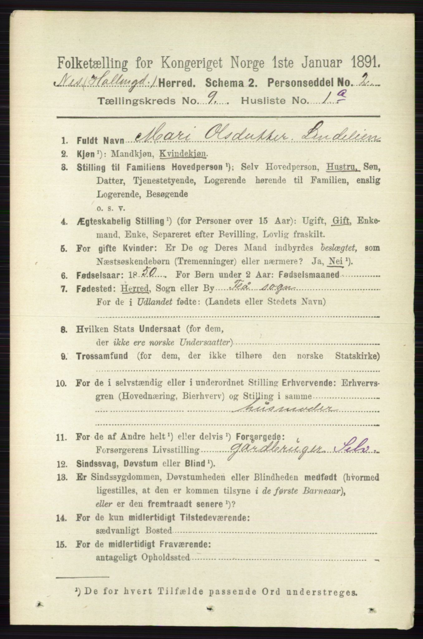 RA, 1891 census for 0616 Nes, 1891, p. 4338