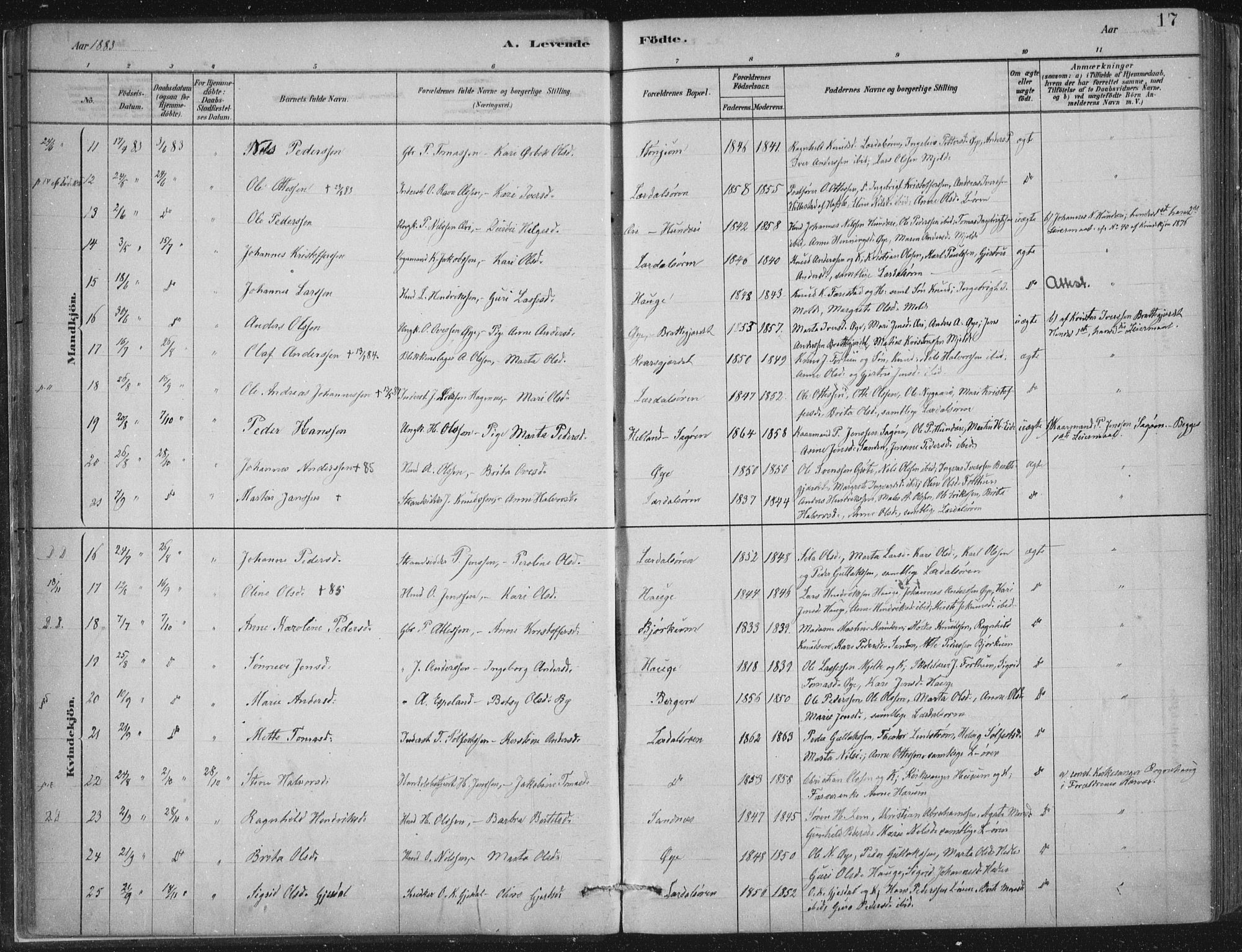 Lærdal sokneprestembete, SAB/A-81201: Parish register (official) no. D  1, 1878-1908, p. 17