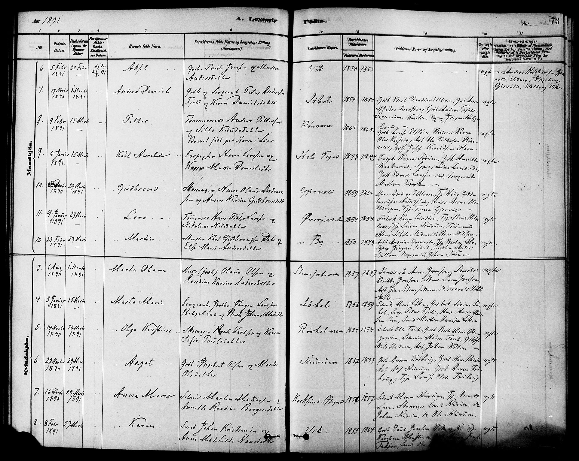 Hole kirkebøker, SAKO/A-228/F/Fa/L0008: Parish register (official) no. I 8, 1878-1891, p. 73