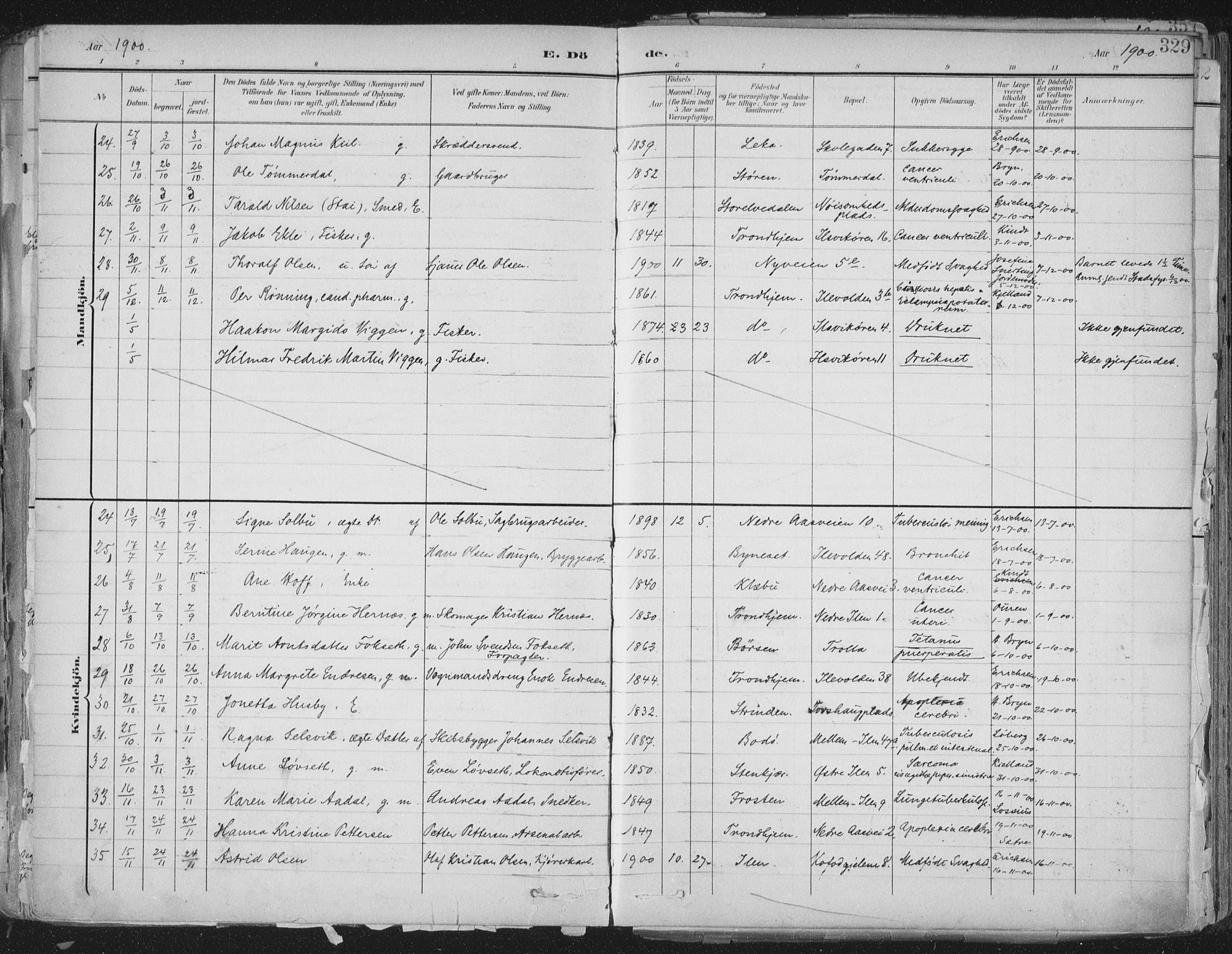 Ministerialprotokoller, klokkerbøker og fødselsregistre - Sør-Trøndelag, SAT/A-1456/603/L0167: Parish register (official) no. 603A06, 1896-1932, p. 329