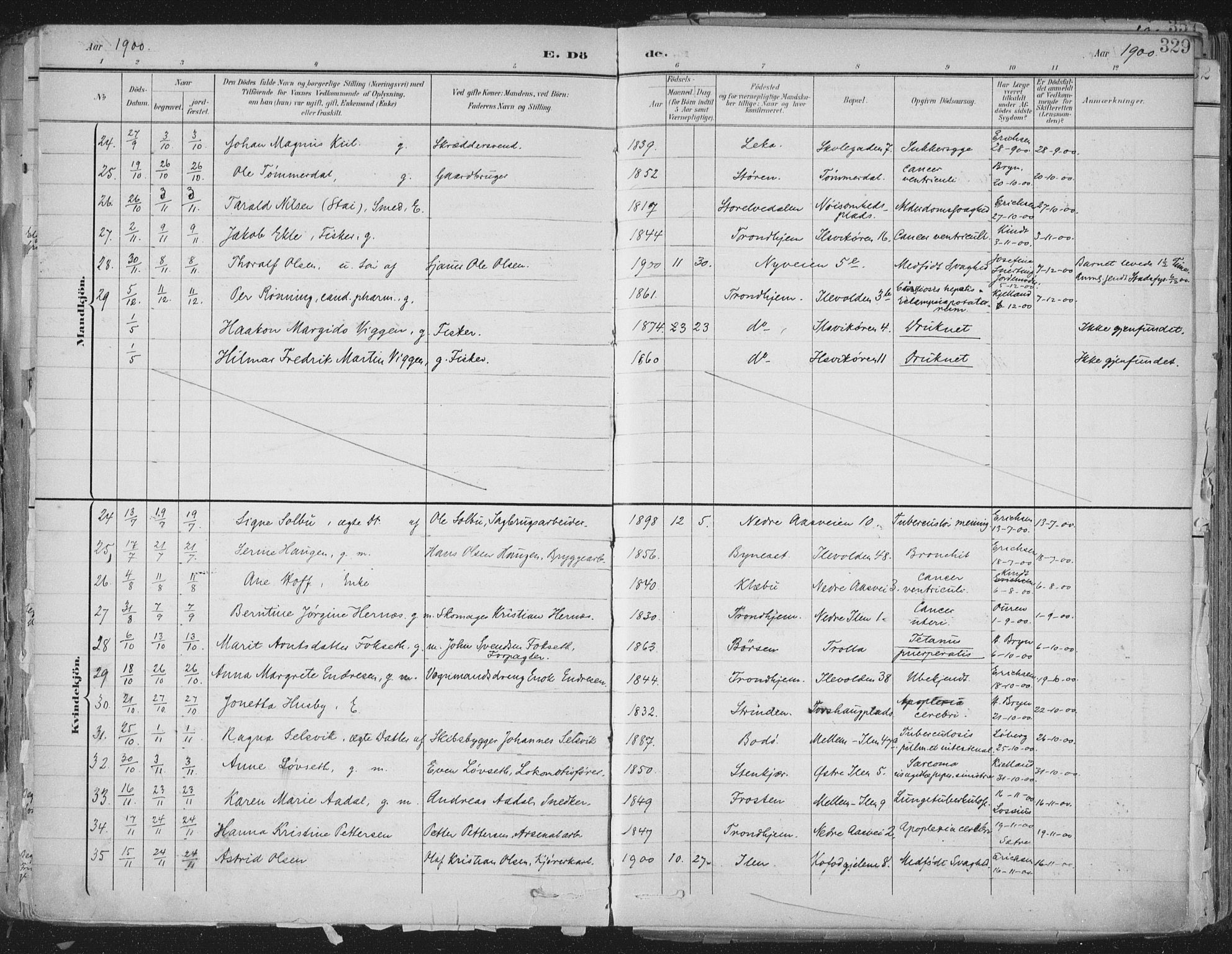 Ministerialprotokoller, klokkerbøker og fødselsregistre - Sør-Trøndelag, AV/SAT-A-1456/603/L0167: Parish register (official) no. 603A06, 1896-1932, p. 329