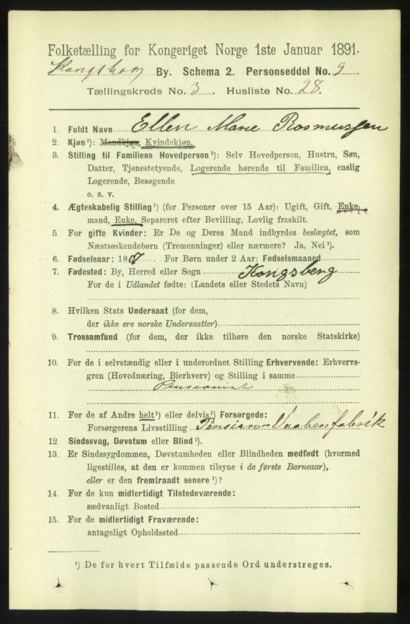RA, 1891 census for 0604 Kongsberg, 1891, p. 3015