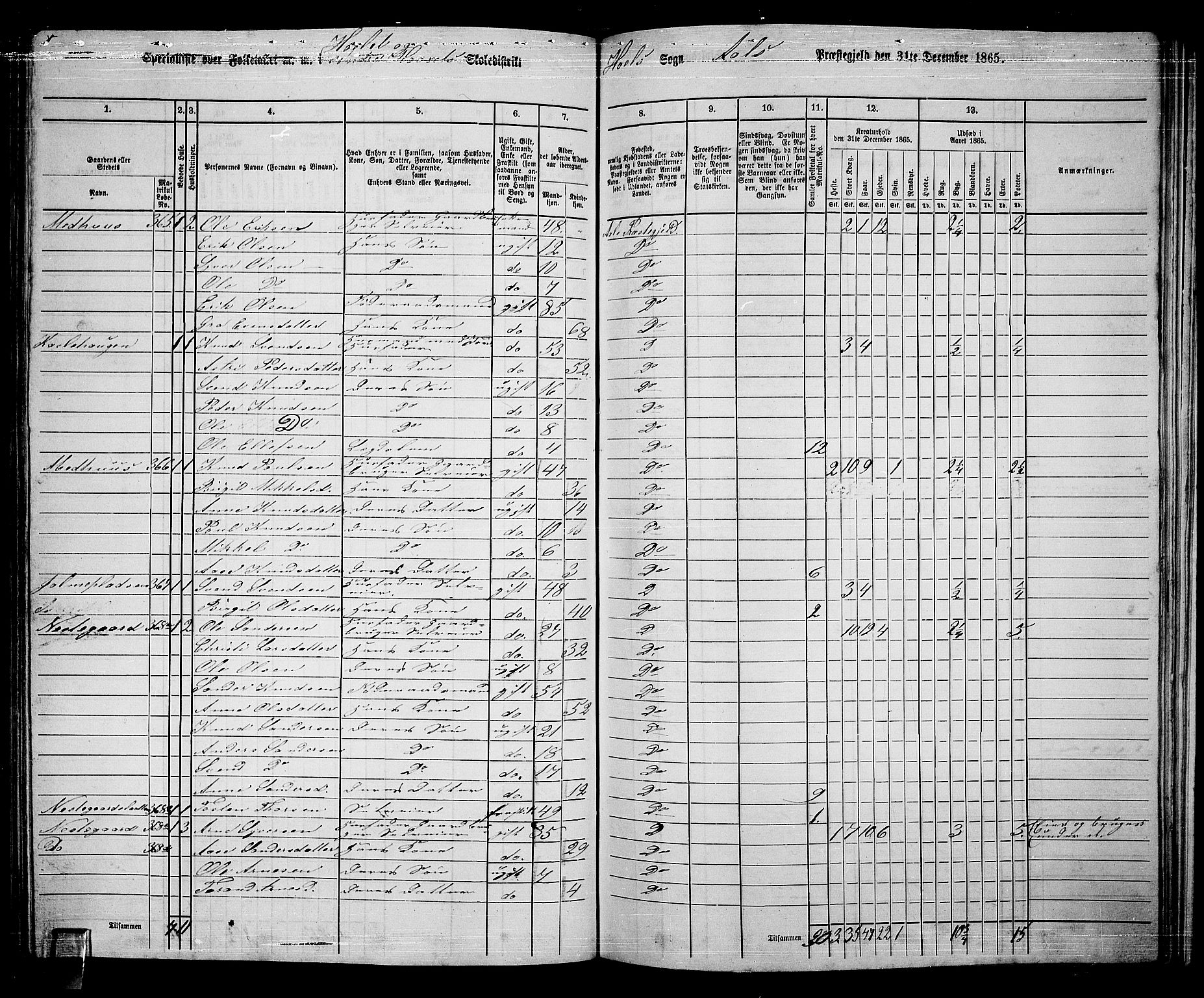 RA, 1865 census for Ål, 1865, p. 186