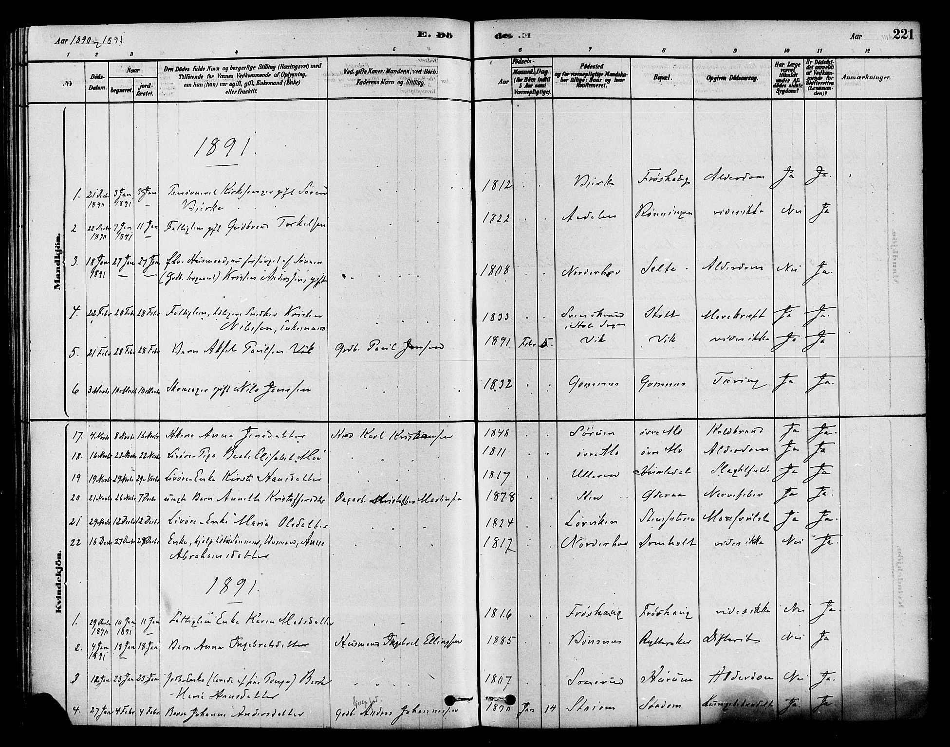 Hole kirkebøker, SAKO/A-228/F/Fa/L0008: Parish register (official) no. I 8, 1878-1891, p. 221