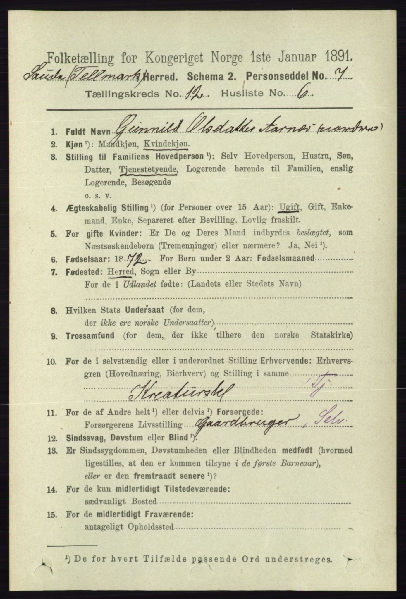 RA, 1891 census for 0822 Sauherad, 1891, p. 3658