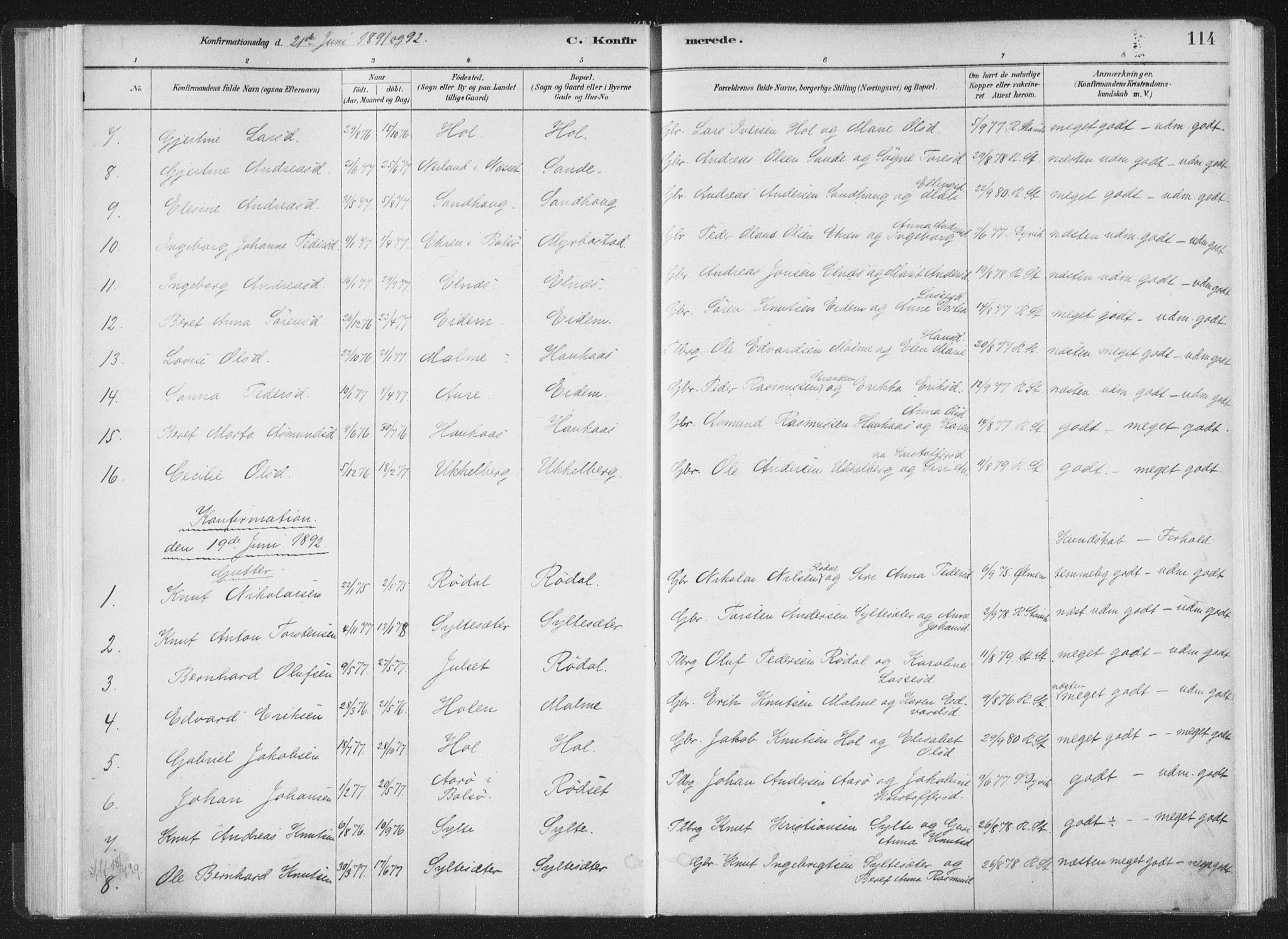 Ministerialprotokoller, klokkerbøker og fødselsregistre - Møre og Romsdal, AV/SAT-A-1454/564/L0740: Parish register (official) no. 564A01, 1880-1899, p. 114