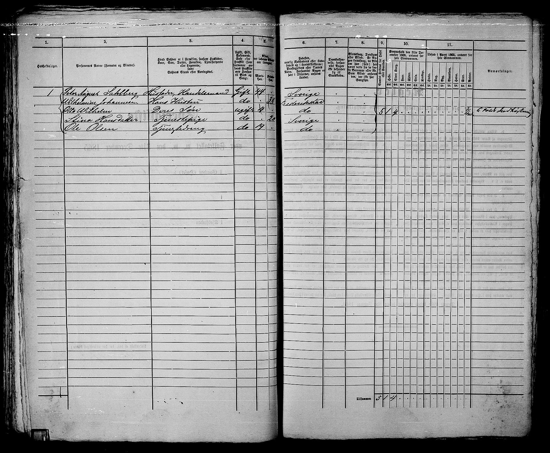 RA, 1865 census for Fredrikshald, 1865, p. 885