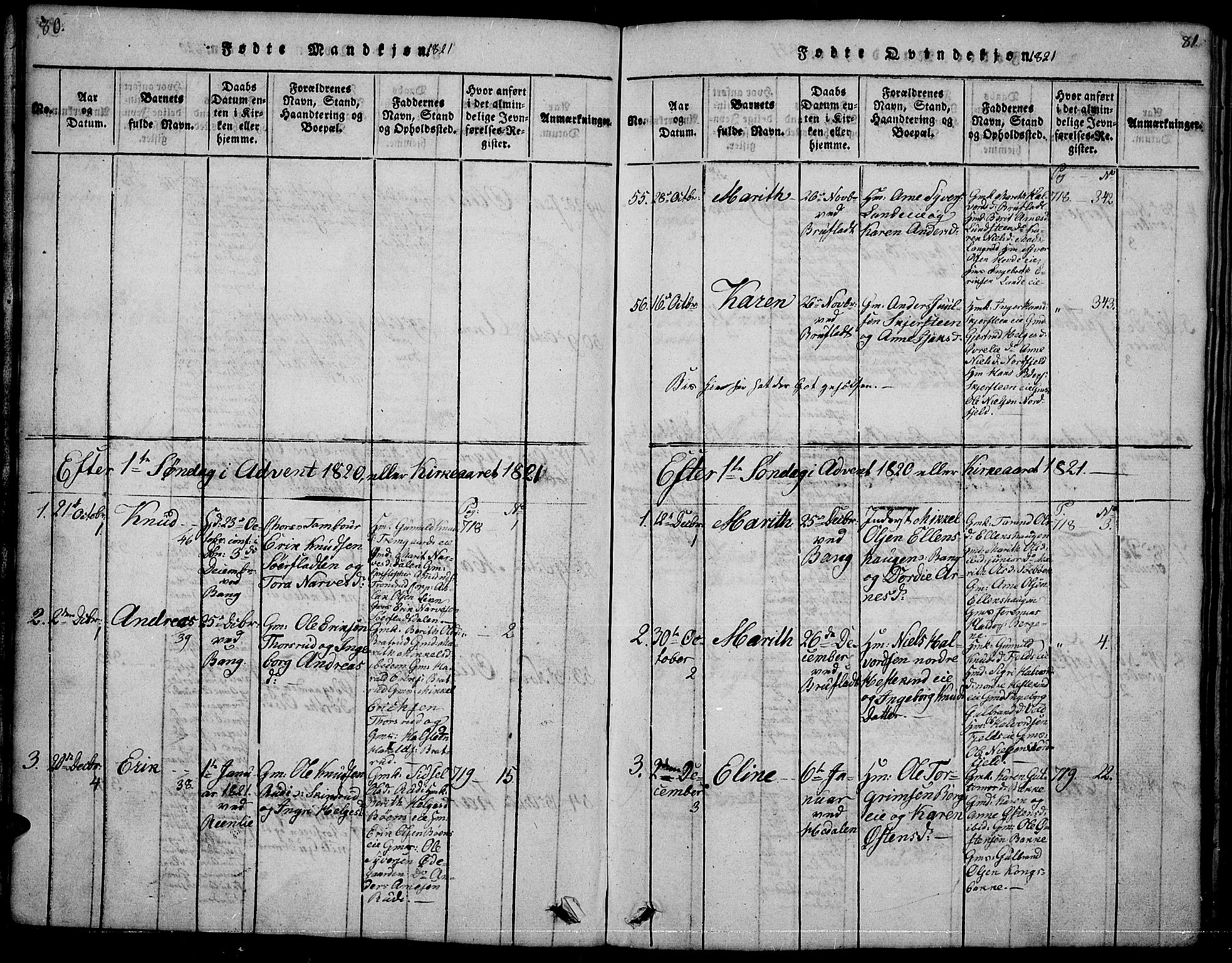 Sør-Aurdal prestekontor, SAH/PREST-128/H/Ha/Hab/L0001: Parish register (copy) no. 1, 1815-1826, p. 80-81