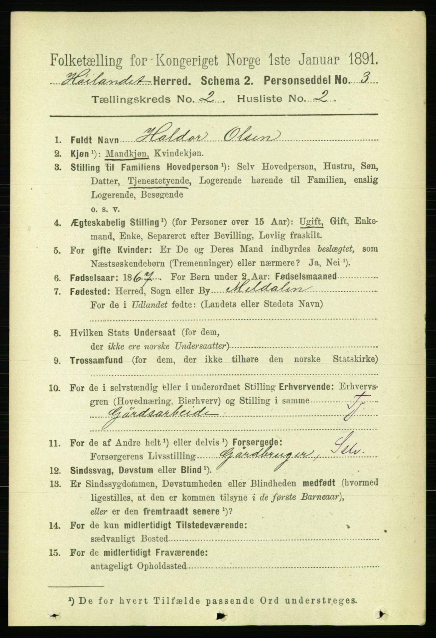 RA, 1891 census for 1651 Hølonda, 1891, p. 835