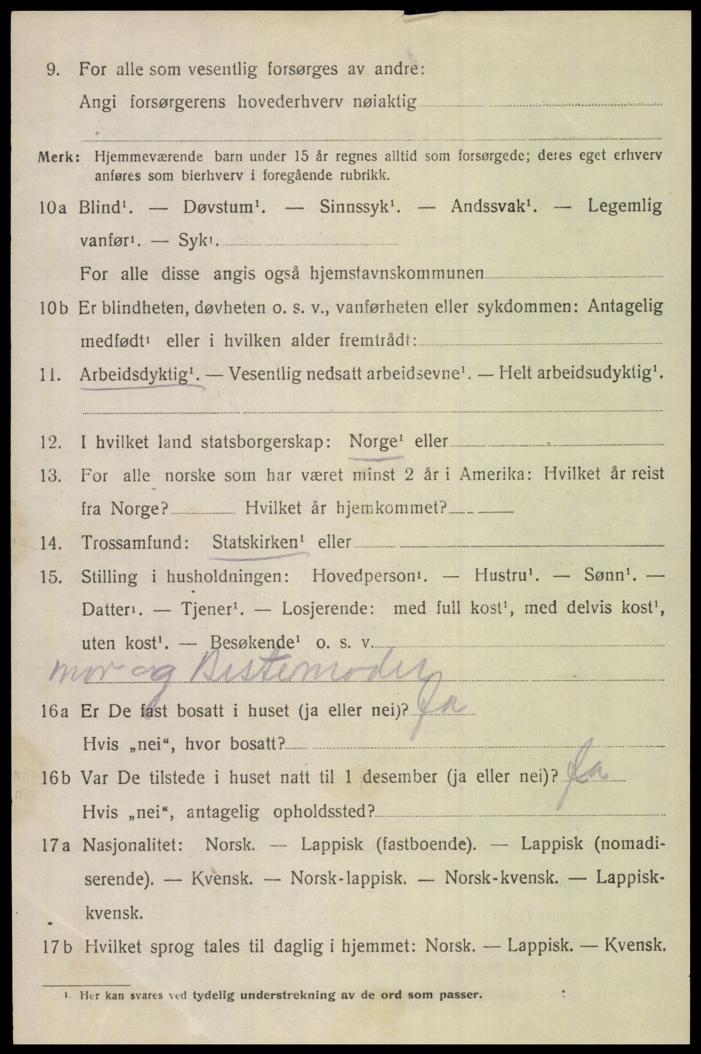 SAT, 1920 census for Bodin, 1920, p. 12845