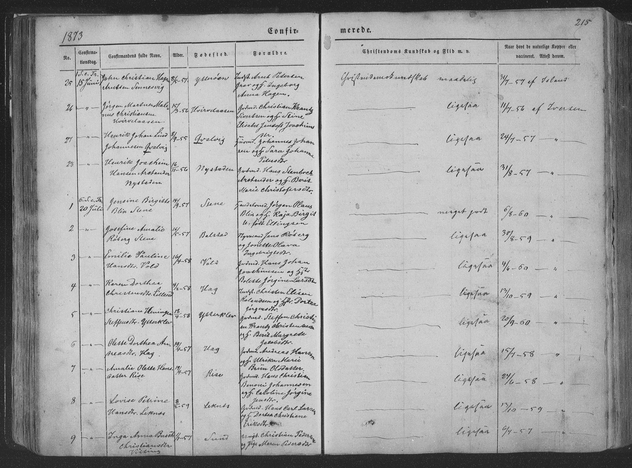 Ministerialprotokoller, klokkerbøker og fødselsregistre - Nordland, AV/SAT-A-1459/881/L1165: Parish register (copy) no. 881C02, 1854-1876, p. 215