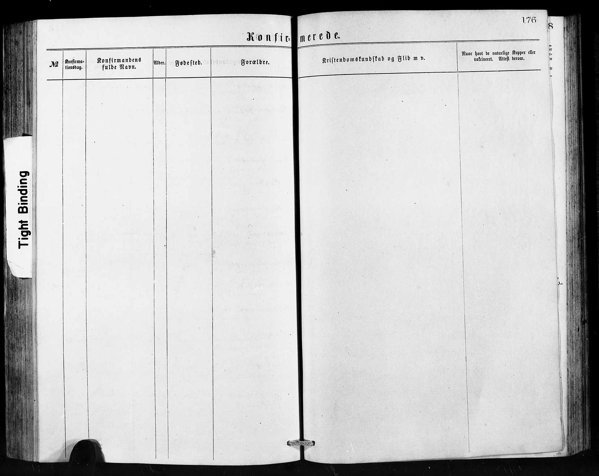 Hornindal sokneprestembete, SAB/A-82401/H/Hab: Parish register (copy) no. A 1, 1876-1894, p. 176