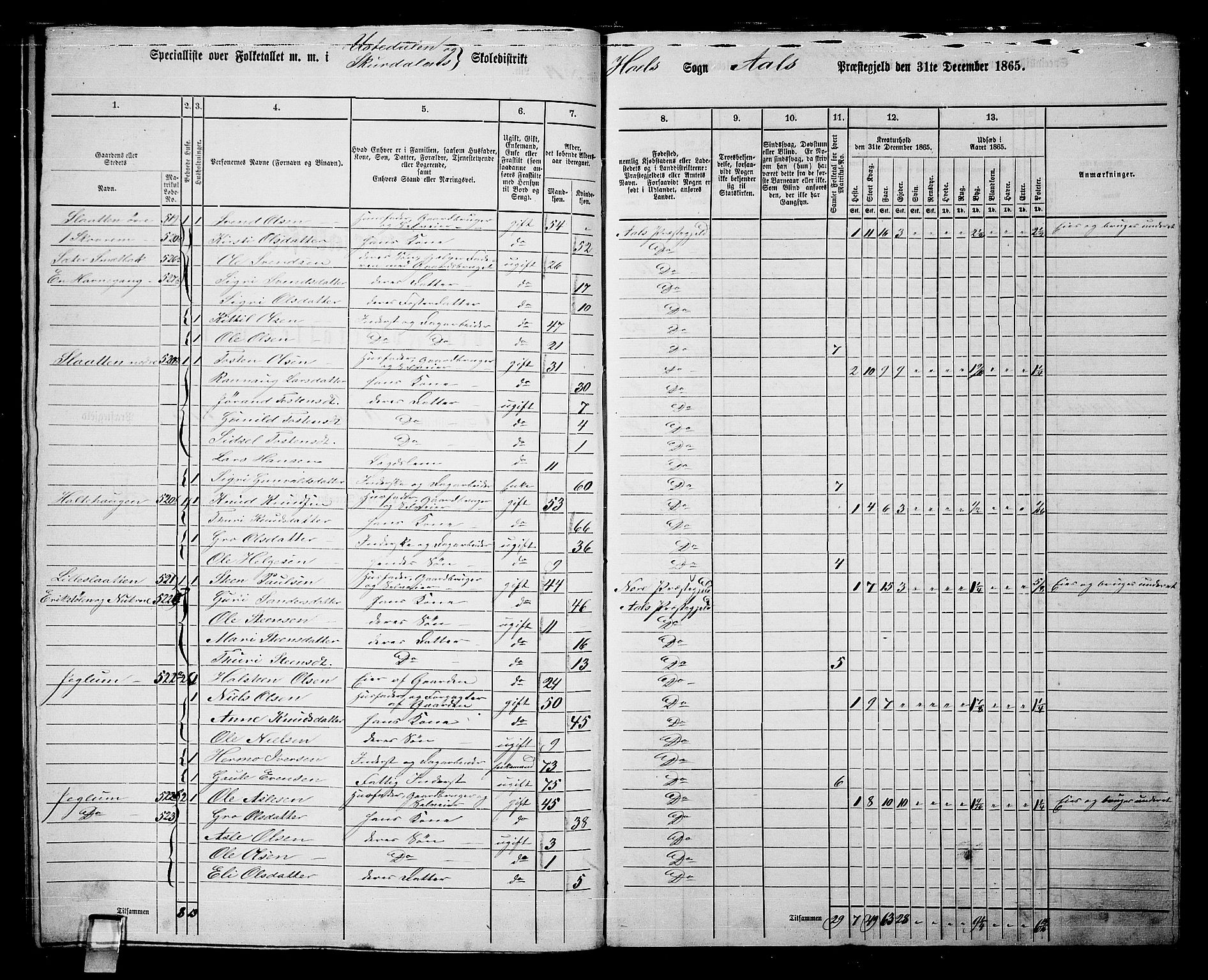 RA, 1865 census for Ål, 1865, p. 245