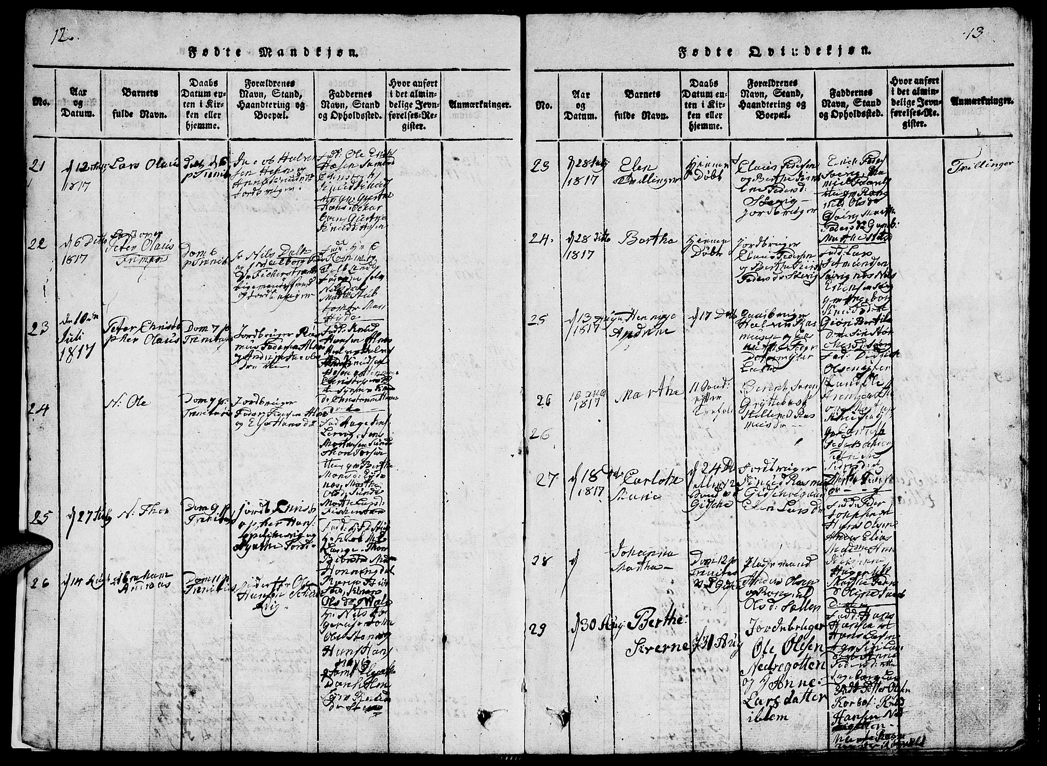 Ministerialprotokoller, klokkerbøker og fødselsregistre - Møre og Romsdal, AV/SAT-A-1454/528/L0423: Parish register (copy) no. 528C04, 1816-1827, p. 12-13