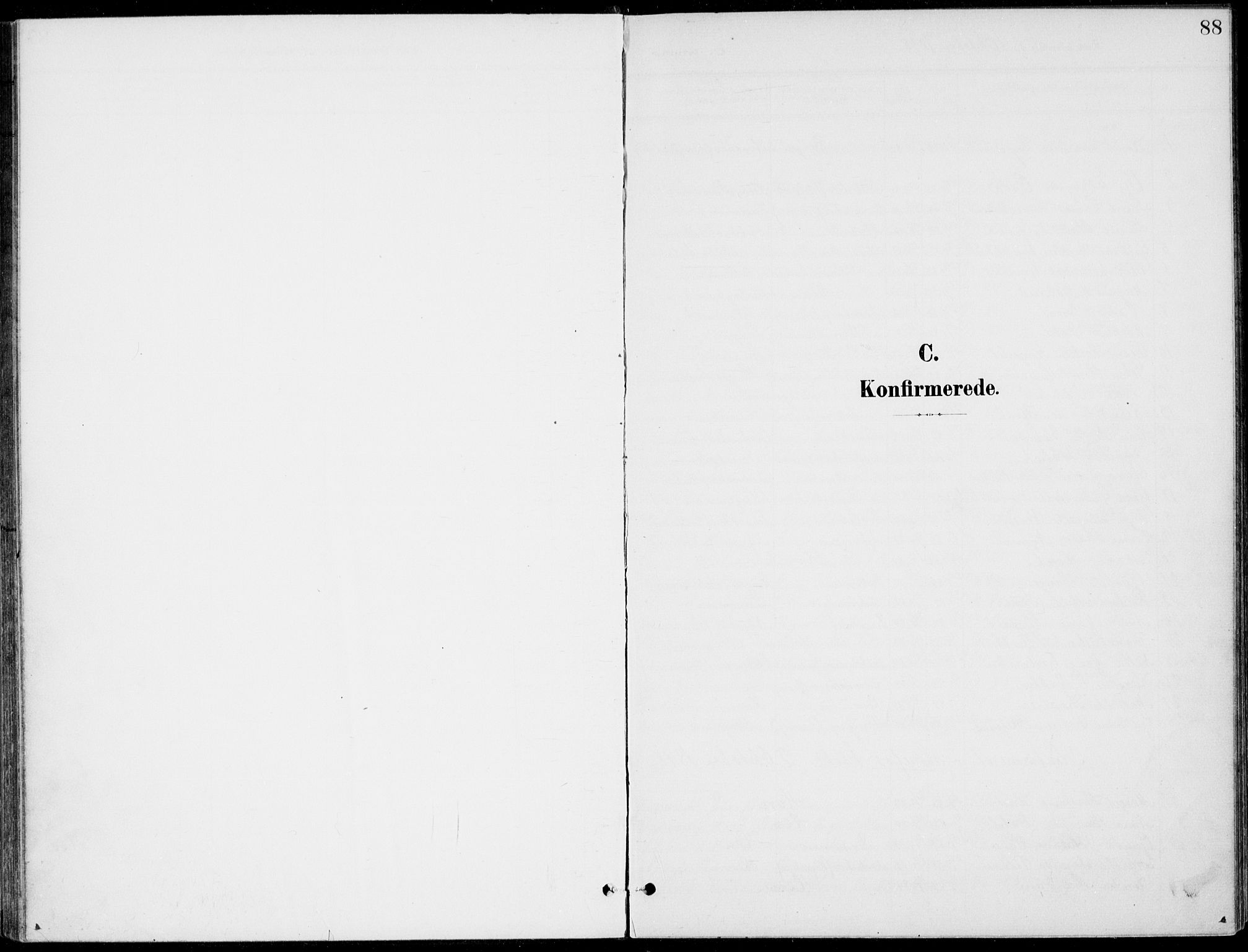 Ådal kirkebøker, SAKO/A-248/F/Fb/L0002: Parish register (official) no. II 2, 1898-1917, p. 88