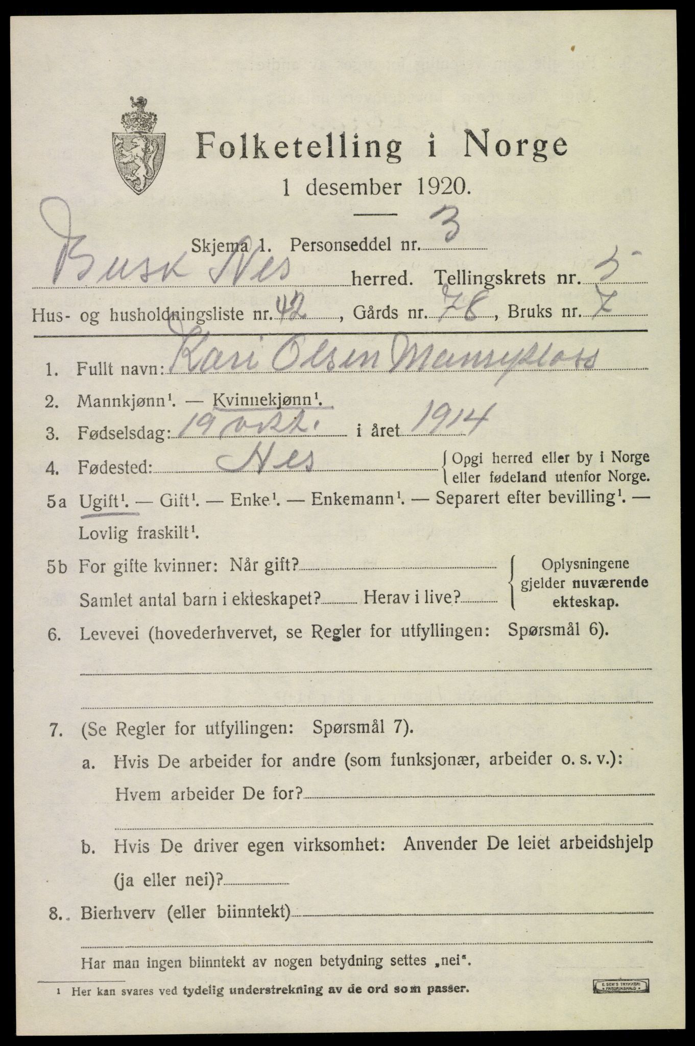 SAKO, 1920 census for Nes (Buskerud), 1920, p. 2878