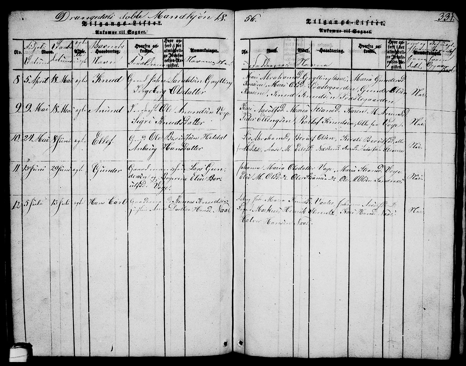 Drangedal kirkebøker, AV/SAKO-A-258/G/Ga/L0001: Parish register (copy) no. I 1 /1, 1814-1856, p. 331