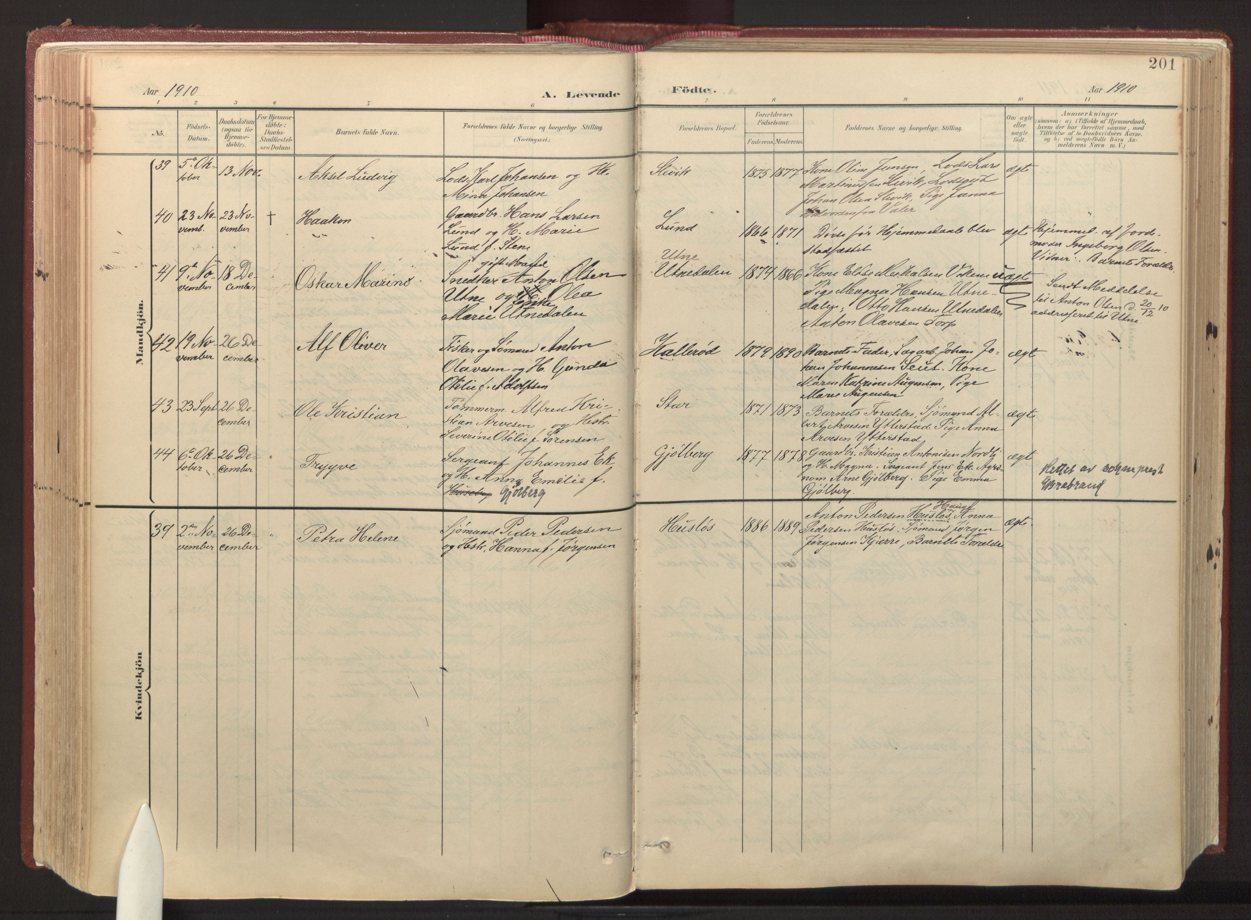 Onsøy prestekontor Kirkebøker, AV/SAO-A-10914/F/Fa/L0008: Parish register (official) no. I 8, 1899-1923, p. 201