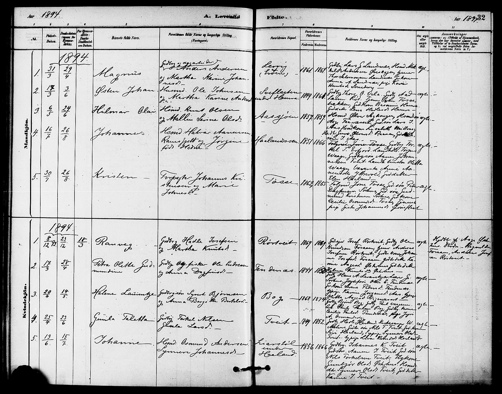 Jelsa sokneprestkontor, AV/SAST-A-101842/01/IV: Parish register (official) no. A 9, 1878-1898, p. 32