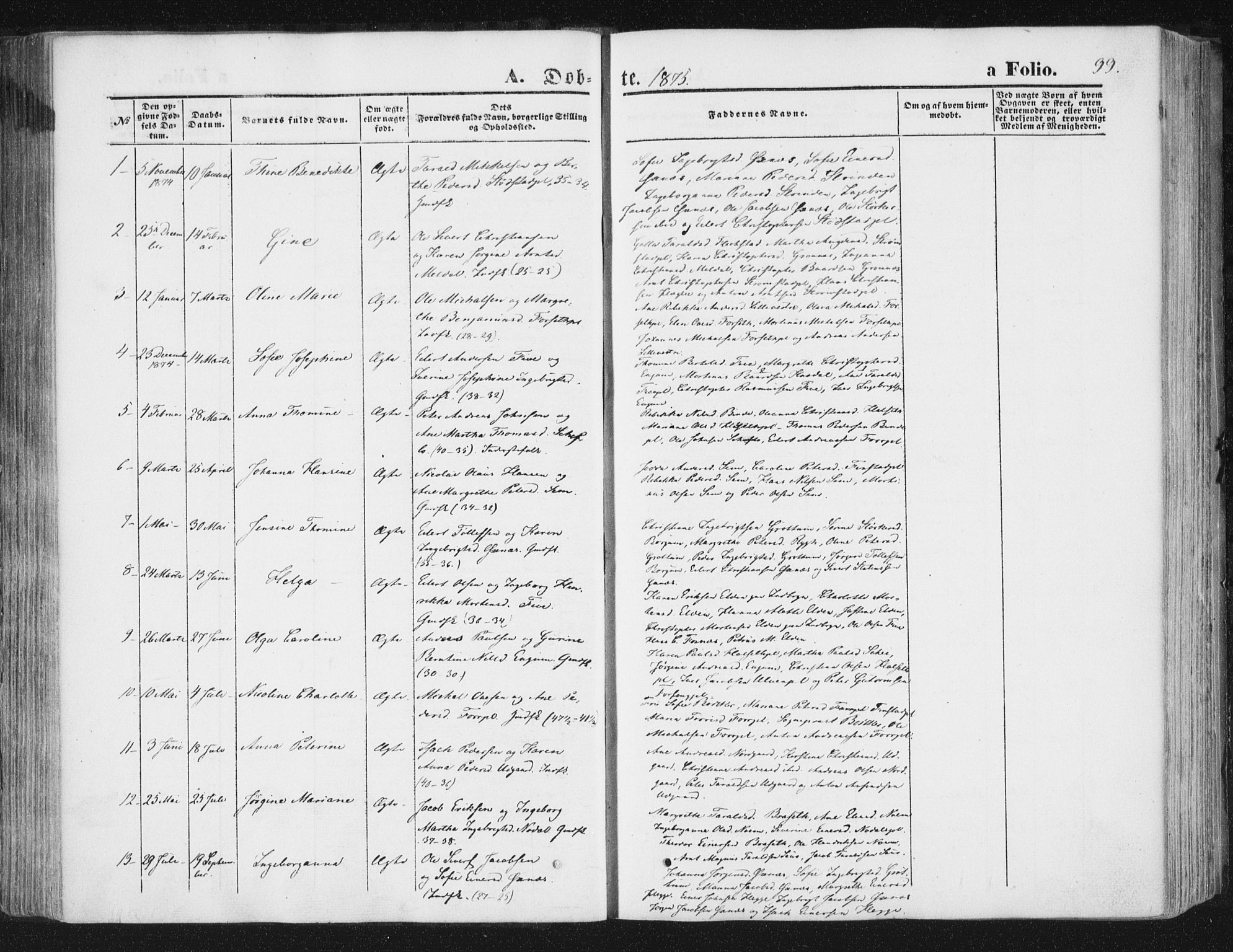 Ministerialprotokoller, klokkerbøker og fødselsregistre - Nord-Trøndelag, SAT/A-1458/746/L0447: Parish register (official) no. 746A06, 1860-1877, p. 99