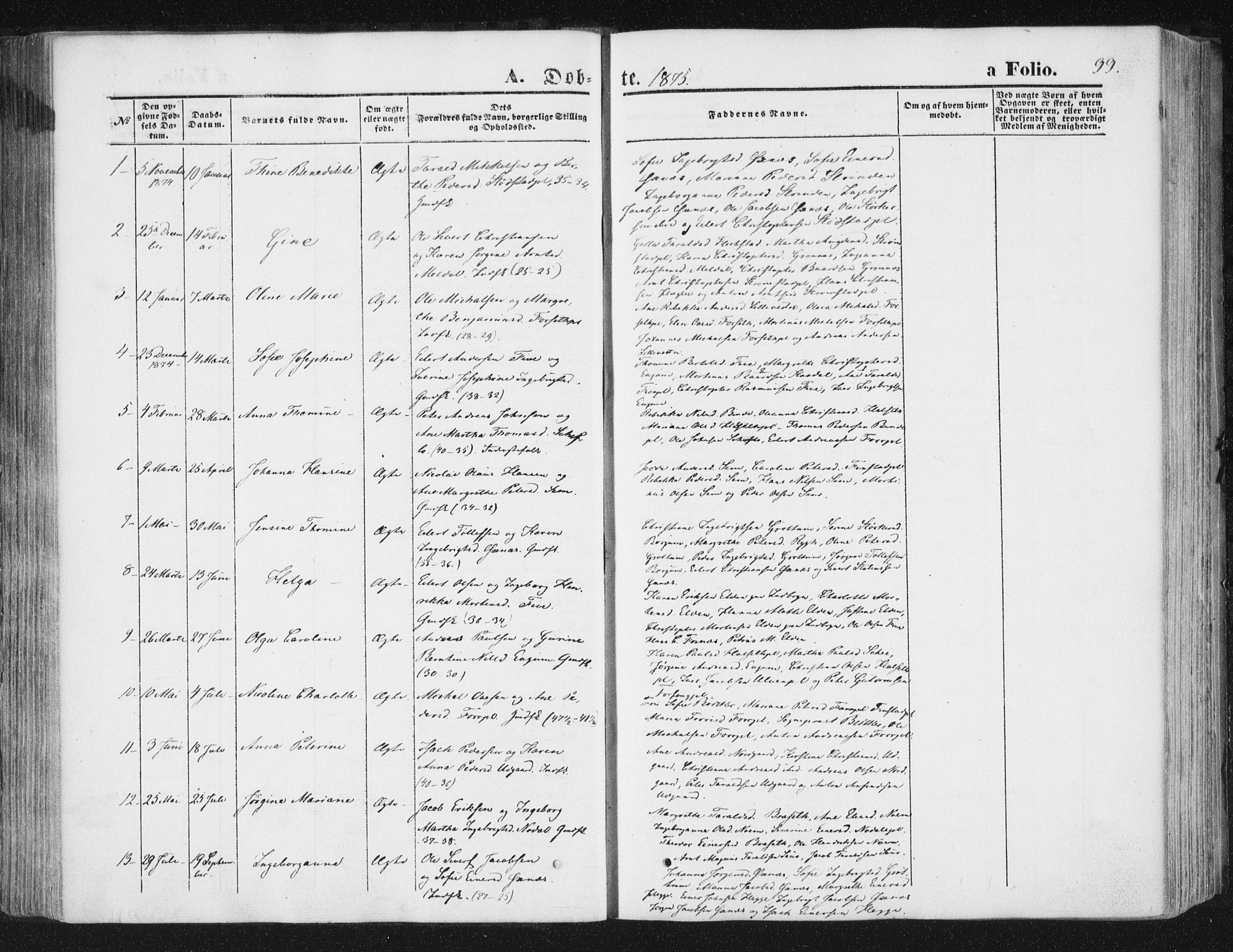 Ministerialprotokoller, klokkerbøker og fødselsregistre - Nord-Trøndelag, AV/SAT-A-1458/746/L0447: Parish register (official) no. 746A06, 1860-1877, p. 99