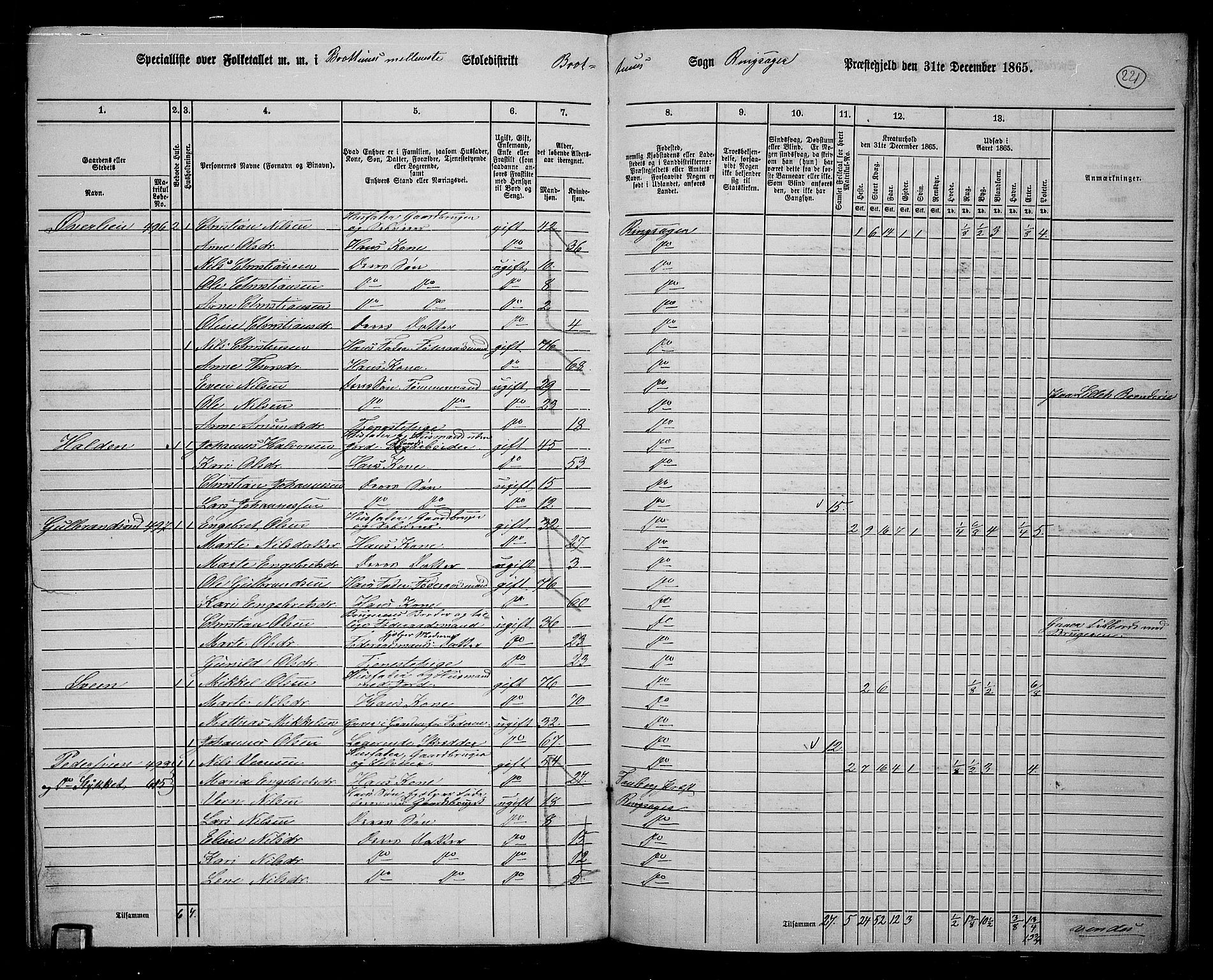 RA, 1865 census for Ringsaker, 1865, p. 460