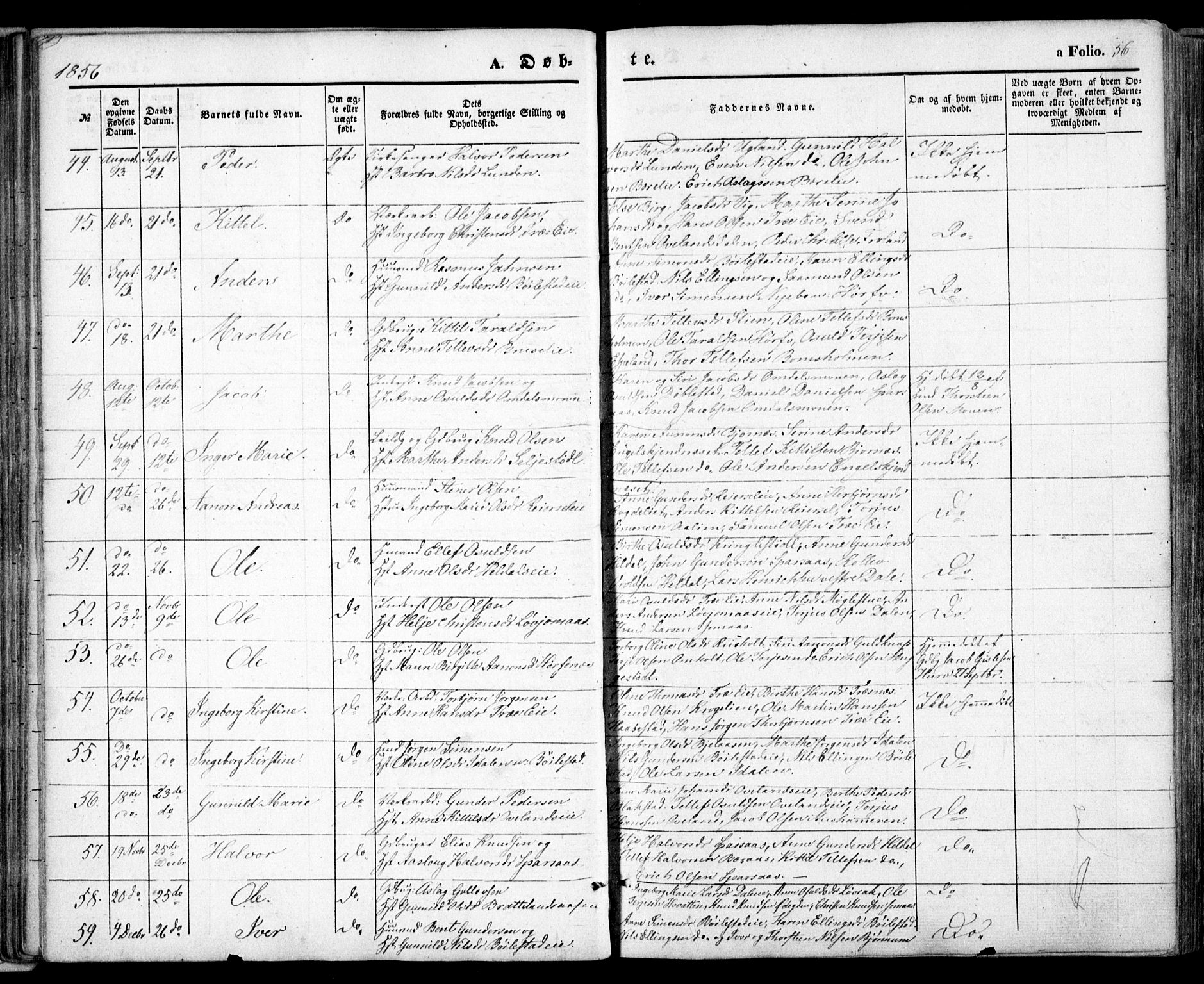 Froland sokneprestkontor, AV/SAK-1111-0013/F/Fa/L0002: Parish register (official) no. A 2, 1845-1863, p. 56