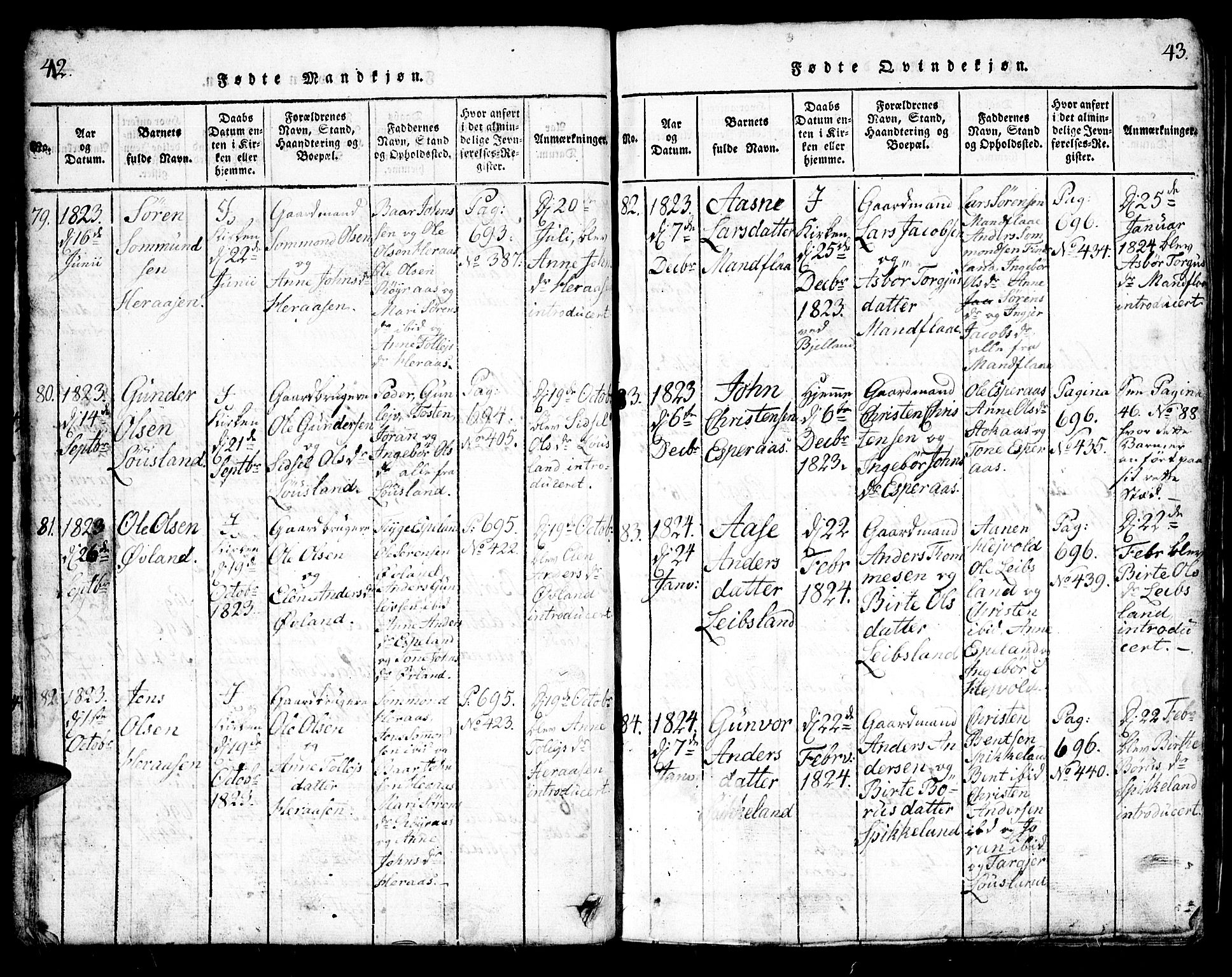 Bjelland sokneprestkontor, AV/SAK-1111-0005/F/Fb/Fbb/L0003: Parish register (copy) no. B 3, 1816-1868, p. 42-43