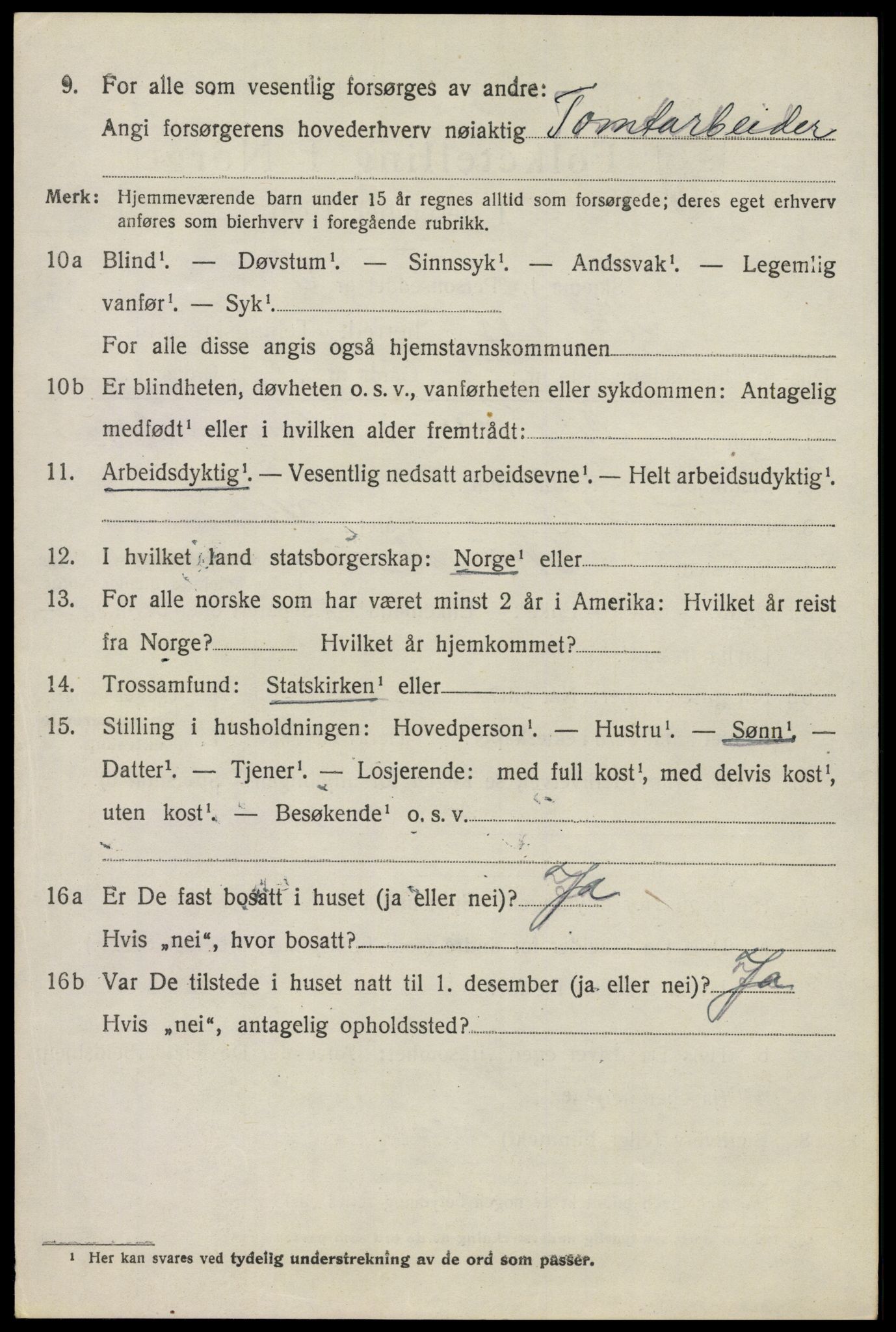 SAO, 1920 census for Nes, 1920, p. 3407