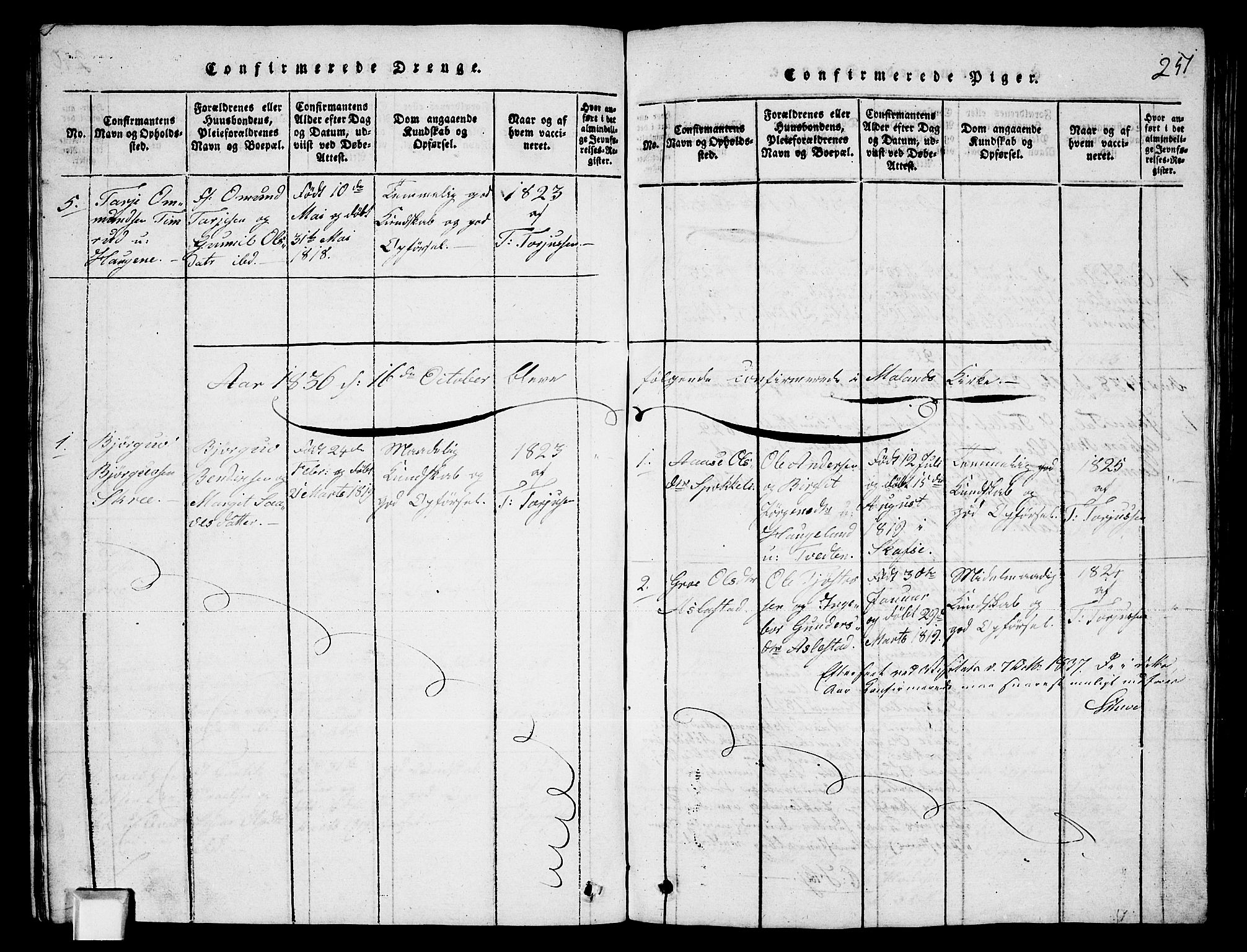 Fyresdal kirkebøker, SAKO/A-263/G/Ga/L0003: Parish register (copy) no. I 3, 1815-1863, p. 251