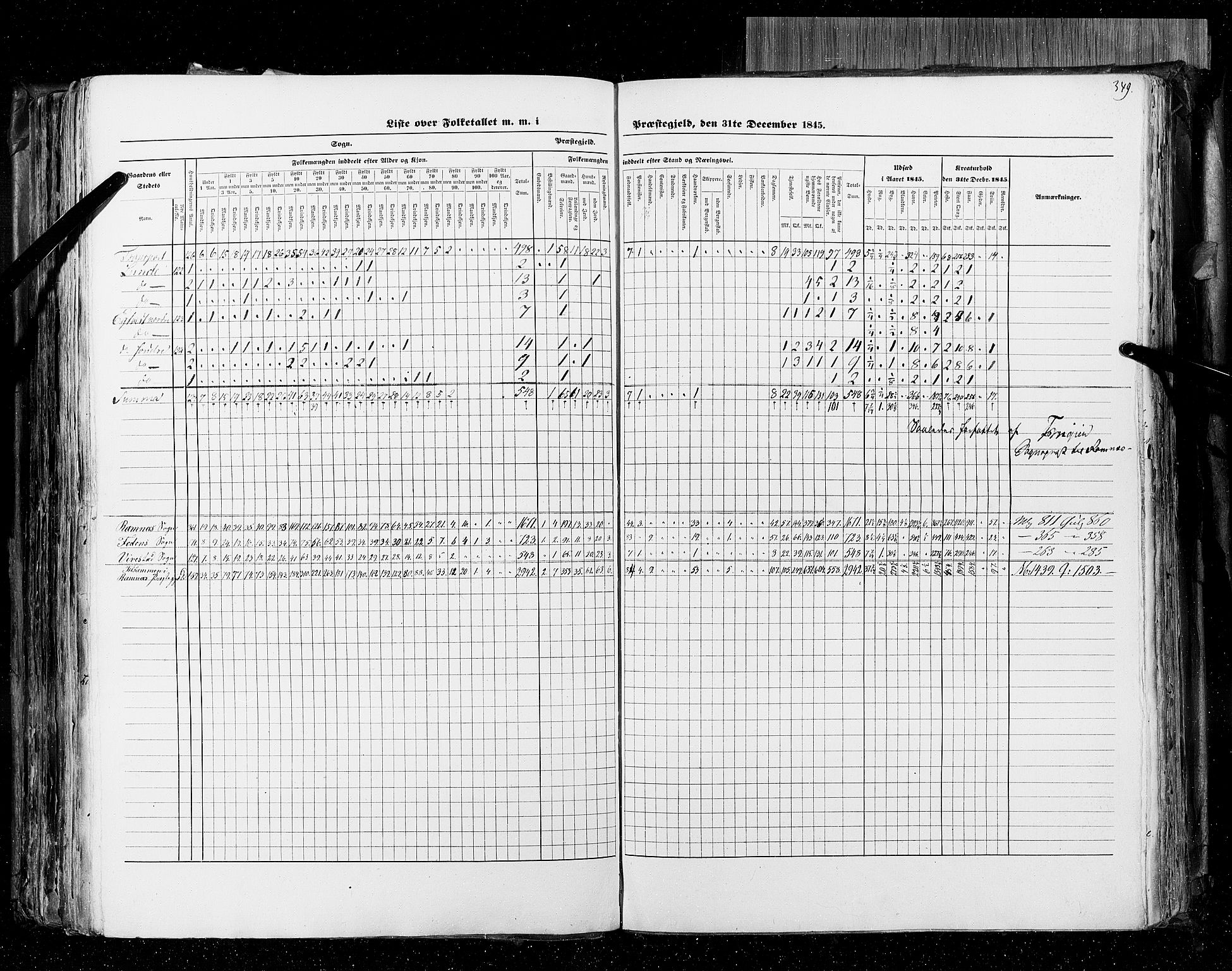 RA, Census 1845, vol. 4: Buskerud amt og Jarlsberg og Larvik amt, 1845, p. 349