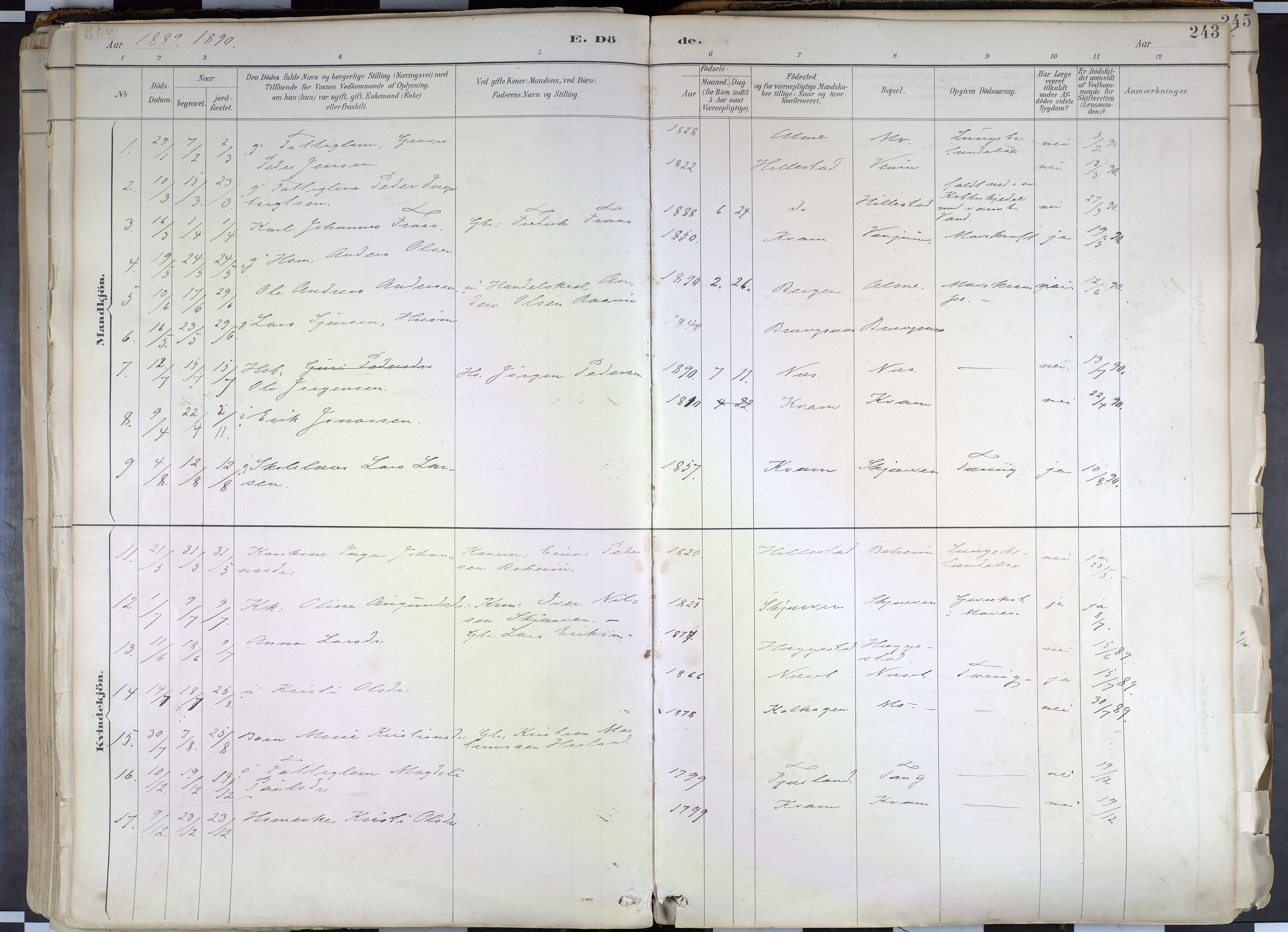 Hafslo sokneprestembete, AV/SAB-A-80301/H/Haa/Haab/L0001: Parish register (official) no. B 1, 1886-1945, p. 243