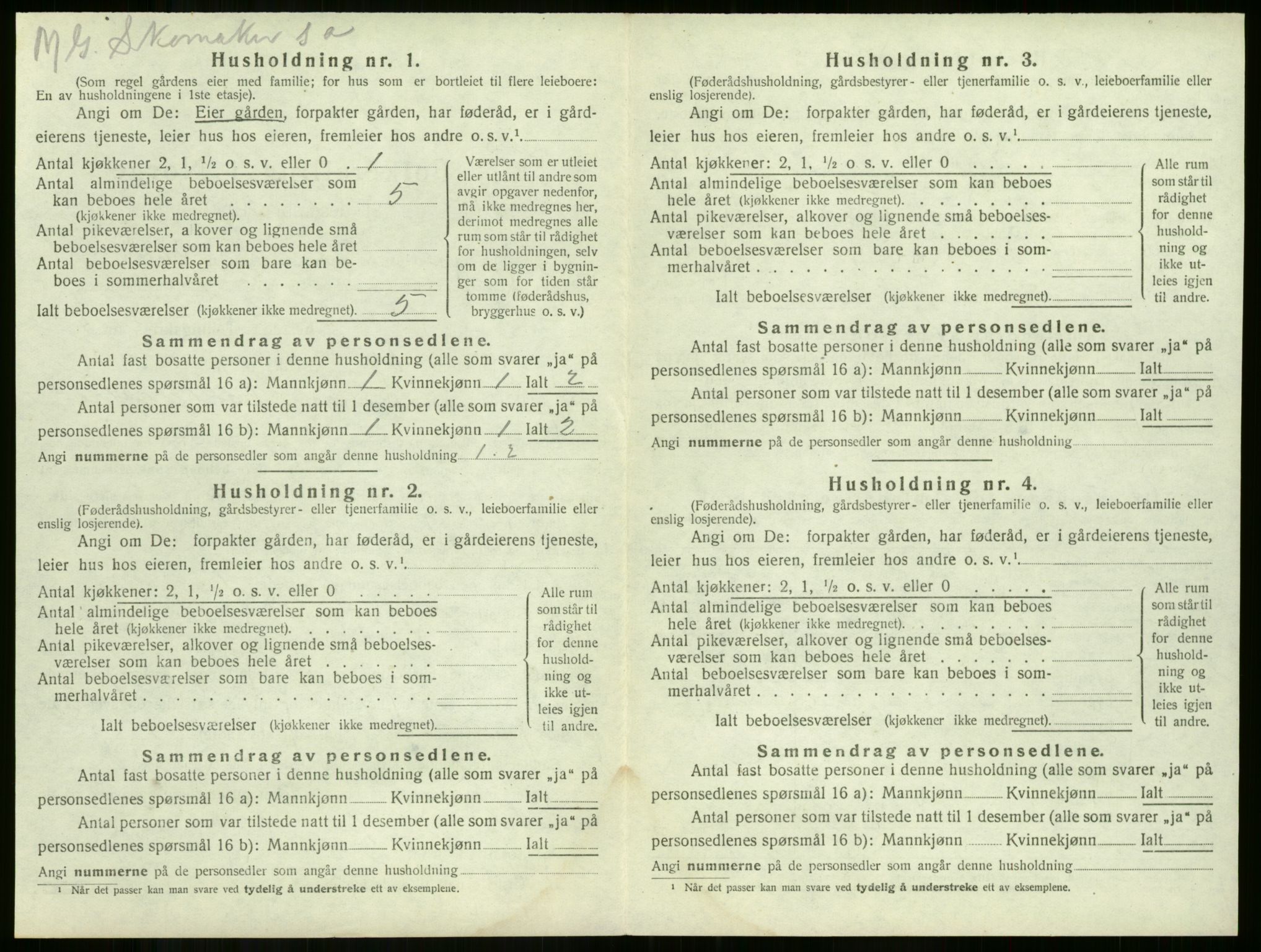 SAKO, 1920 census for Våle, 1920, p. 501