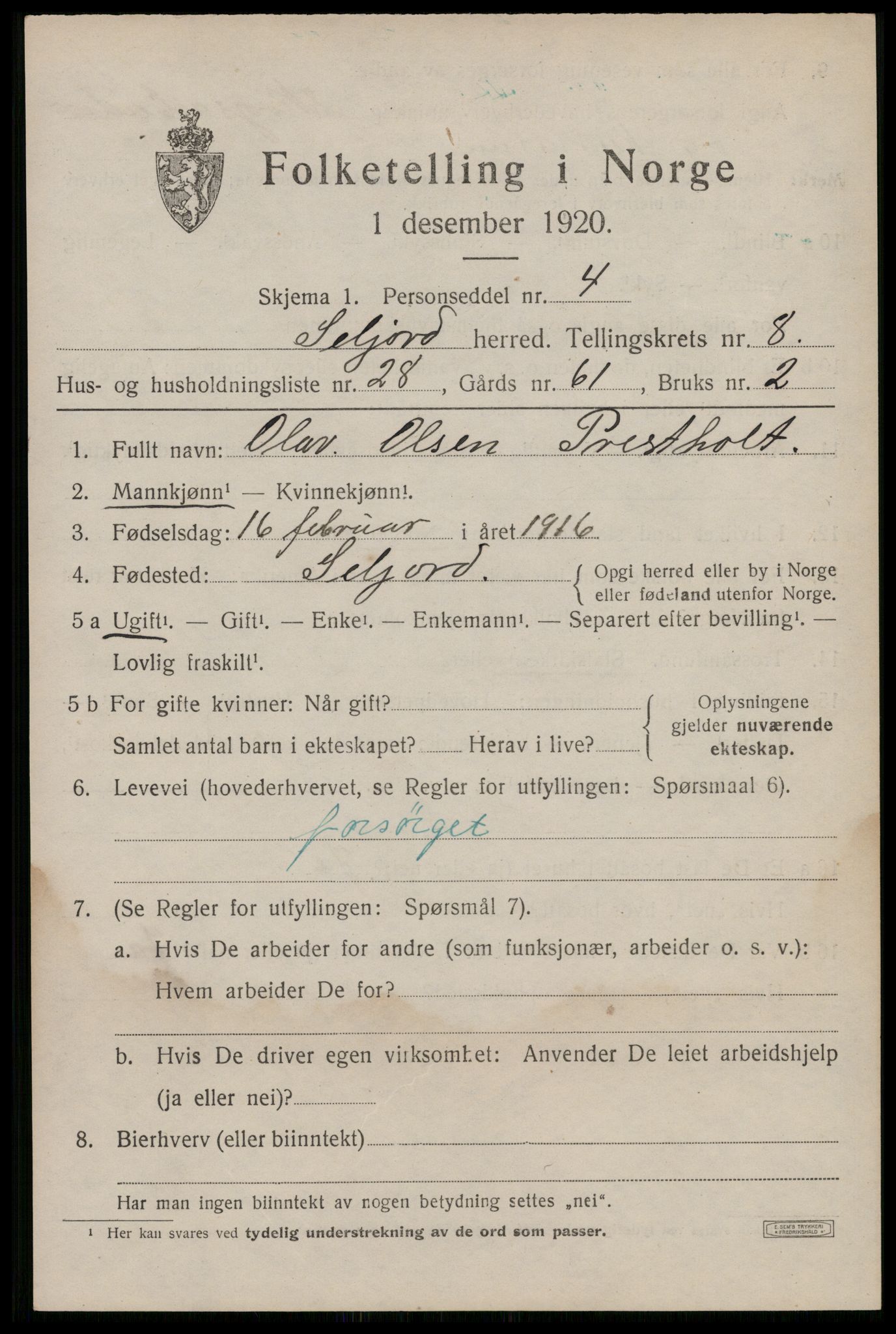 SAKO, 1920 census for Seljord, 1920, p. 4190