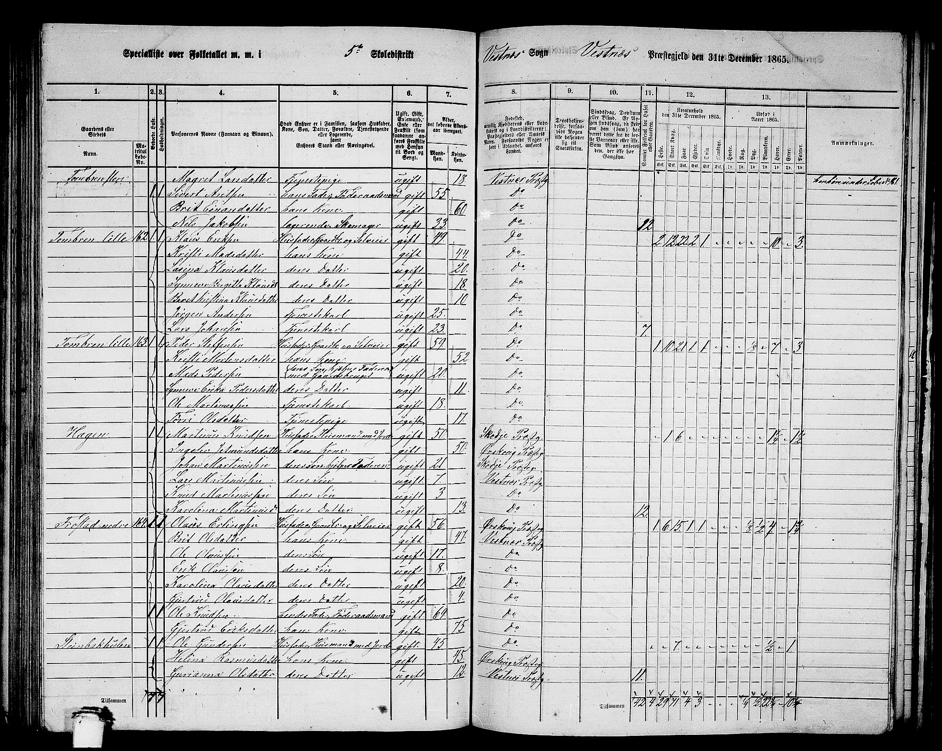 RA, 1865 census for Vestnes, 1865, p. 111