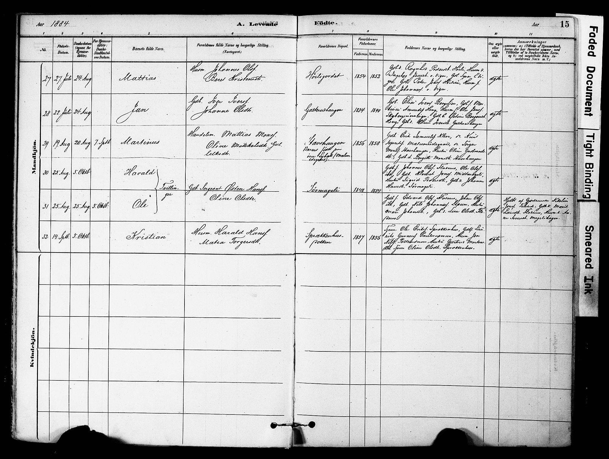 Øyer prestekontor, AV/SAH-PREST-084/H/Ha/Haa/L0009: Parish register (official) no. 9, 1878-1893, p. 15