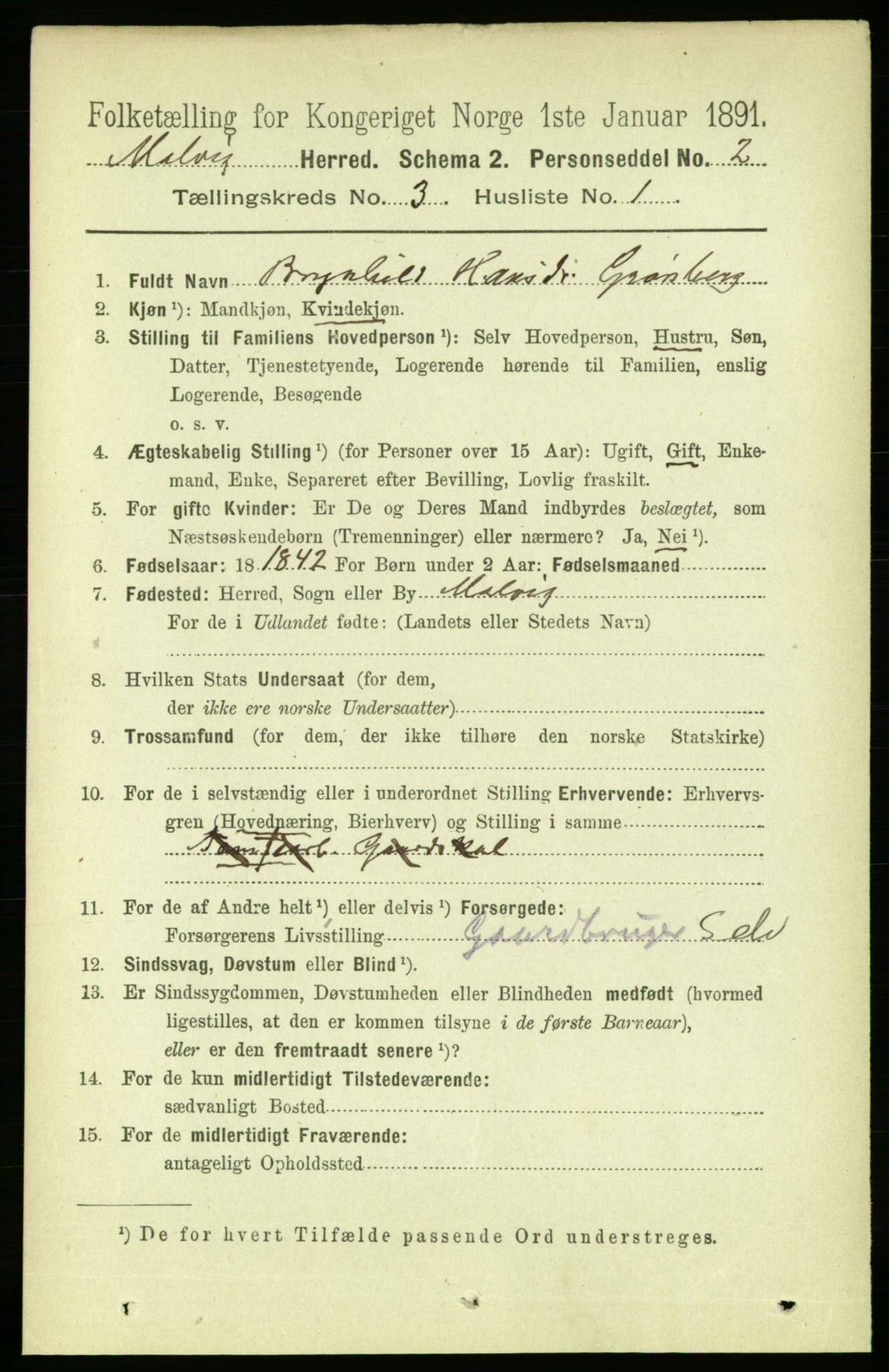 RA, 1891 census for 1663 Malvik, 1891, p. 1502