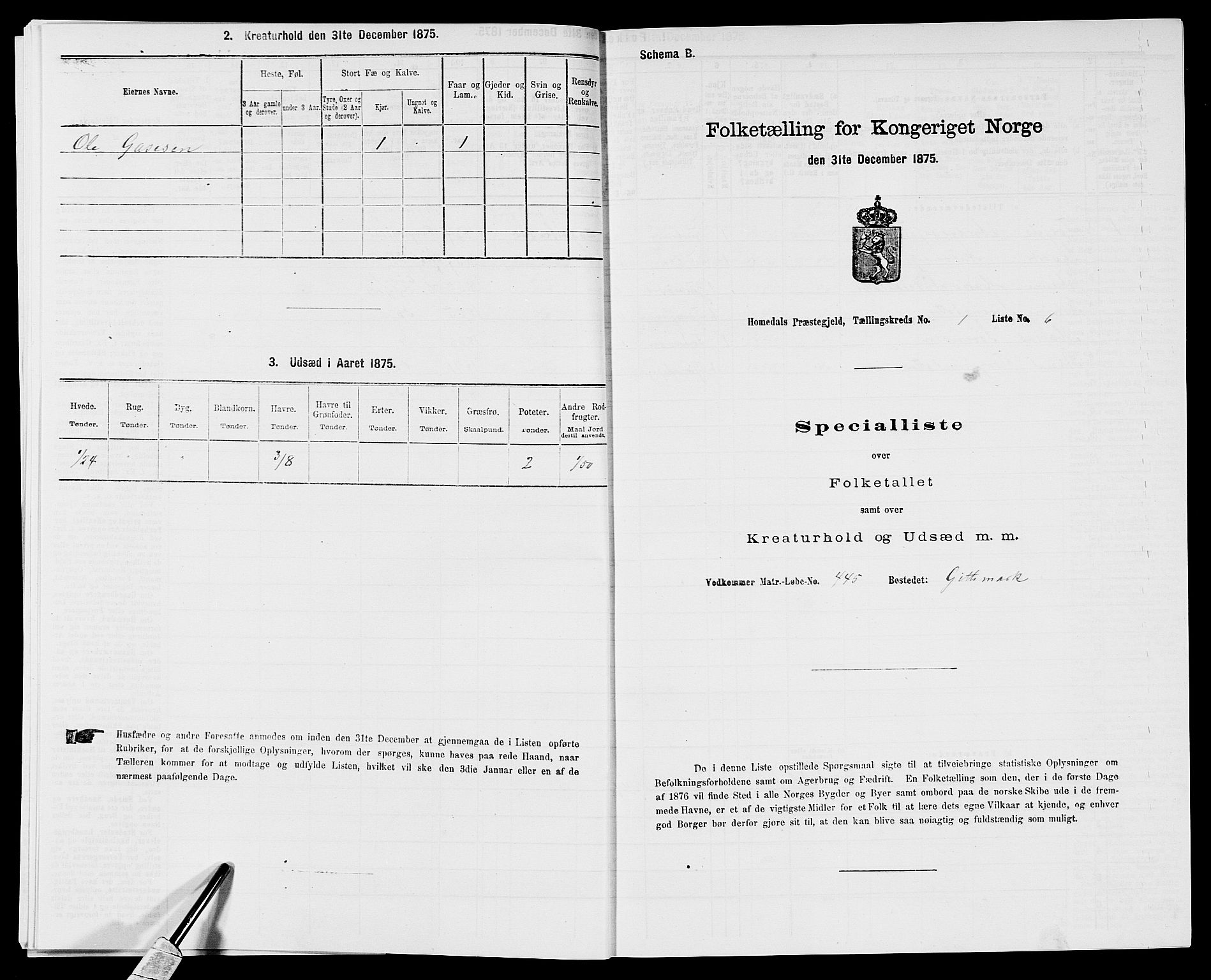 SAK, 1875 census for 0924P Homedal, 1875, p. 27