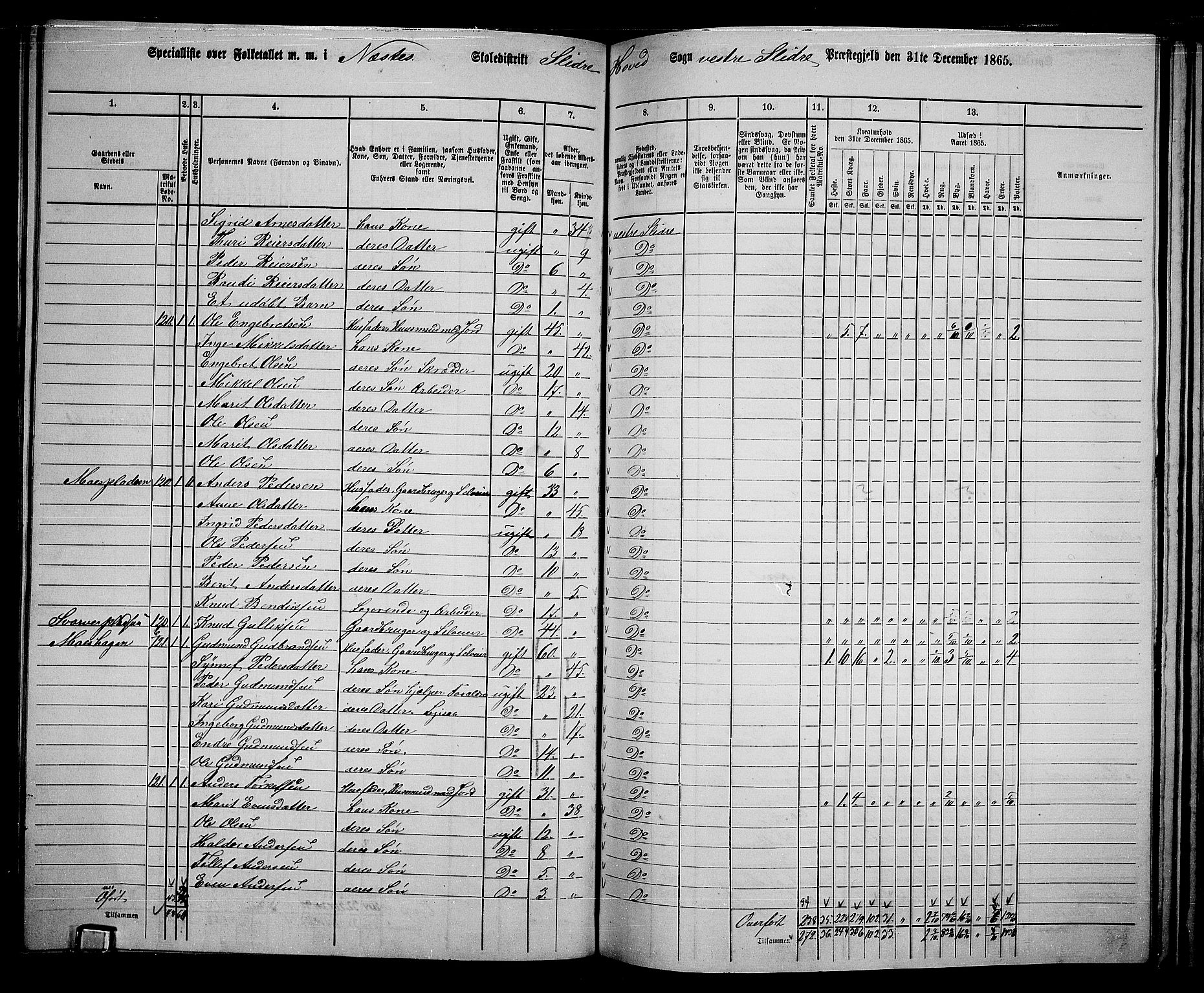 RA, 1865 census for Vestre Slidre, 1865, p. 87