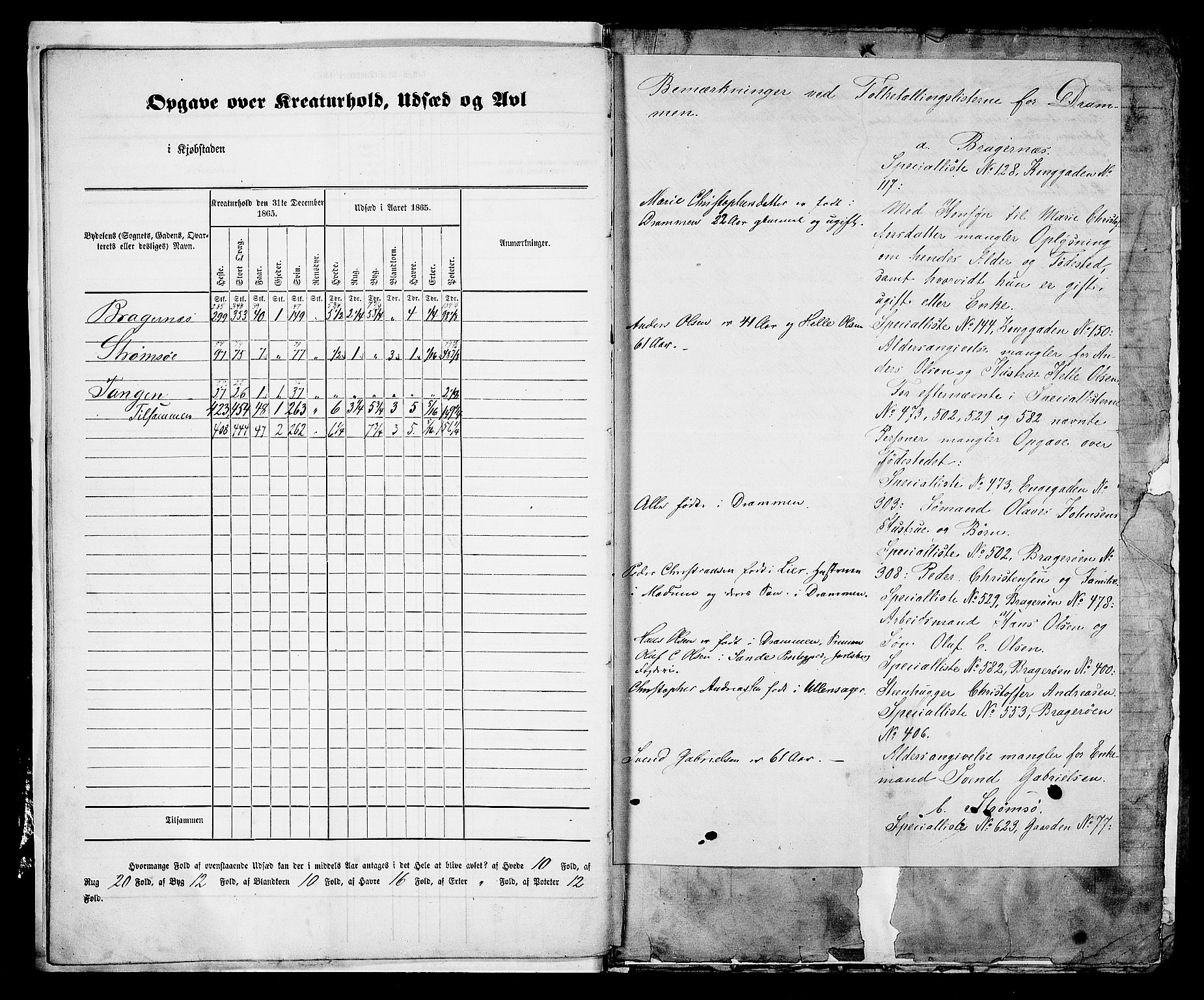 RA, 1865 census for Bragernes in Drammen, 1865, p. 15