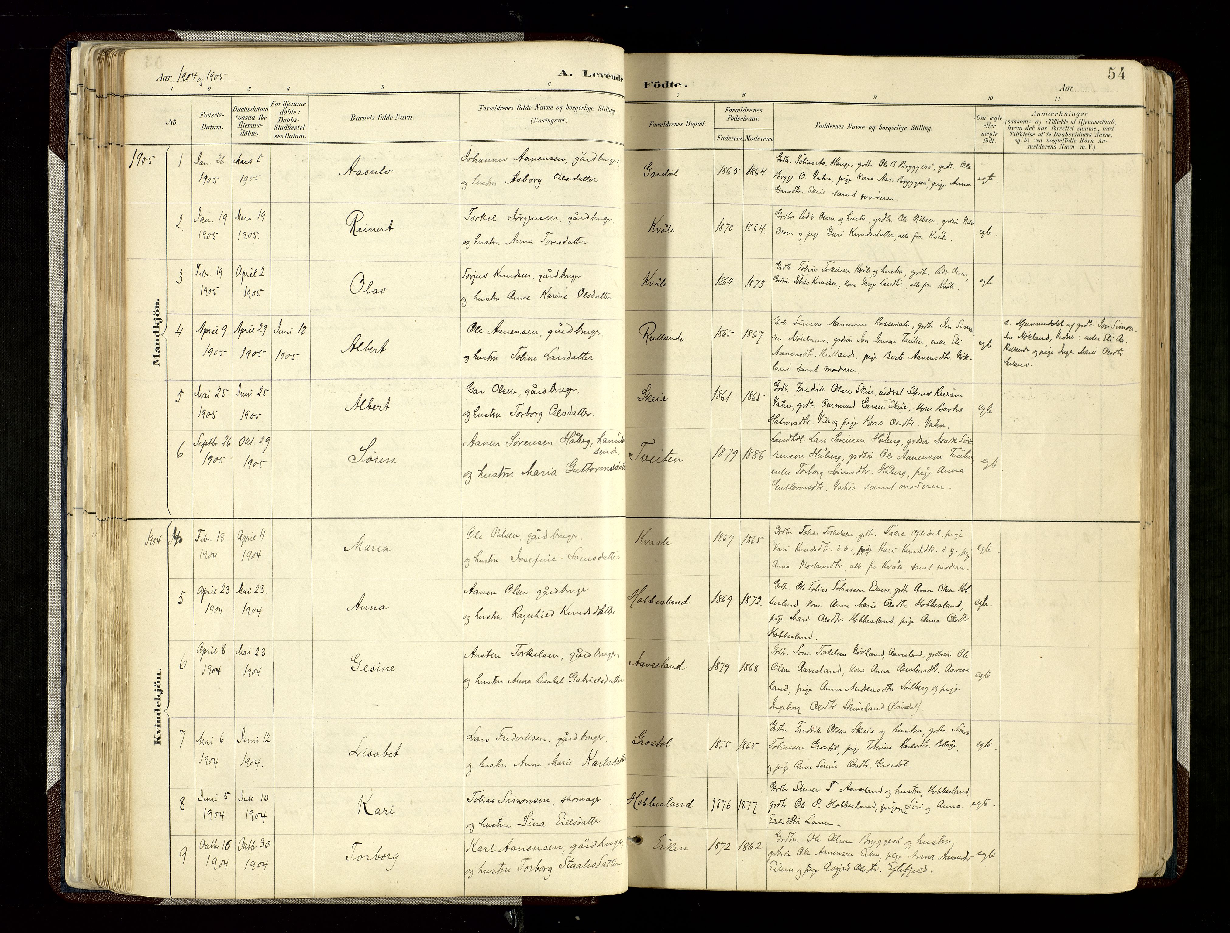 Hægebostad sokneprestkontor, SAK/1111-0024/F/Fa/Fab/L0004: Parish register (official) no. A 4, 1887-1929, p. 54