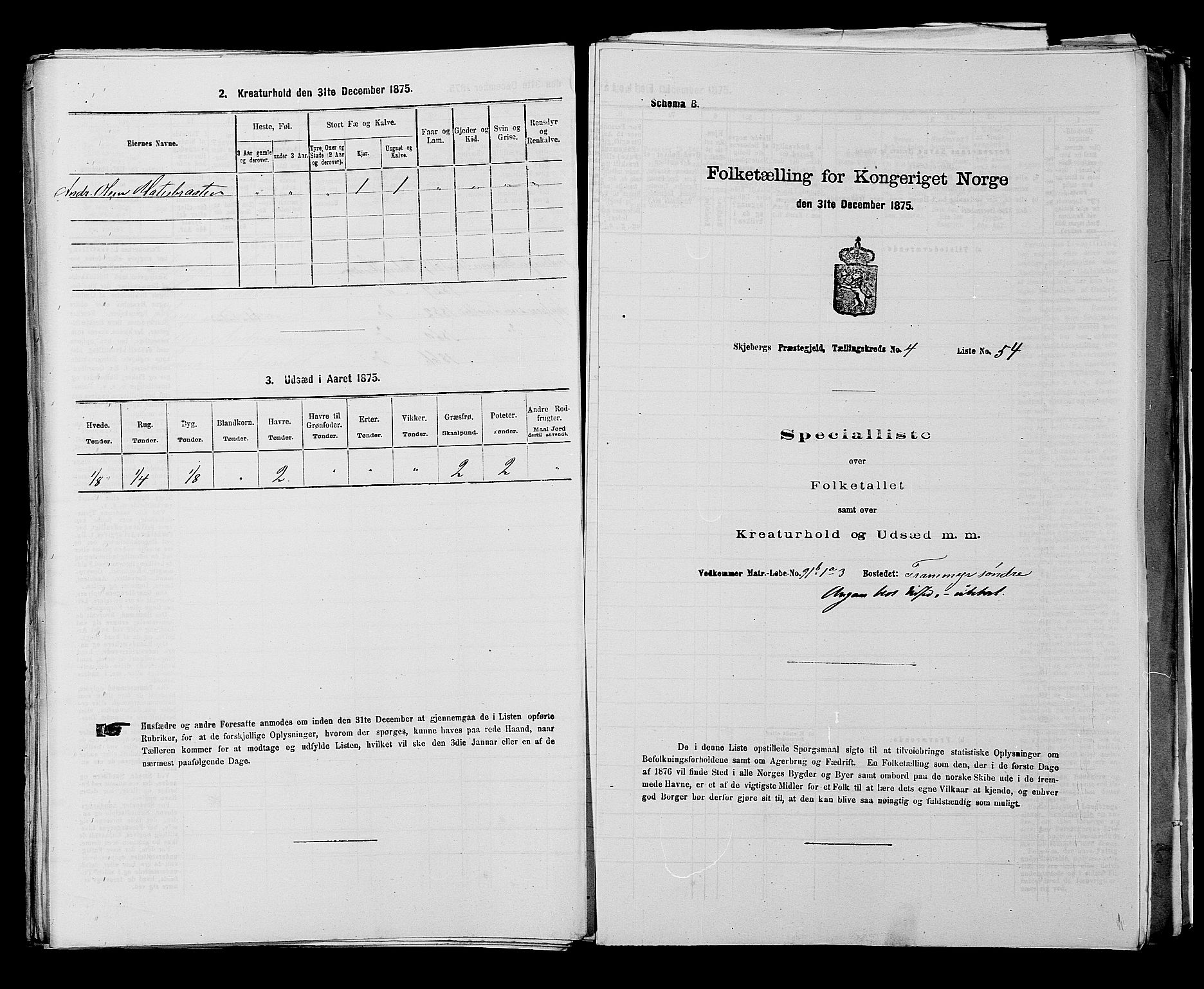 RA, 1875 census for 0115P Skjeberg, 1875, p. 817
